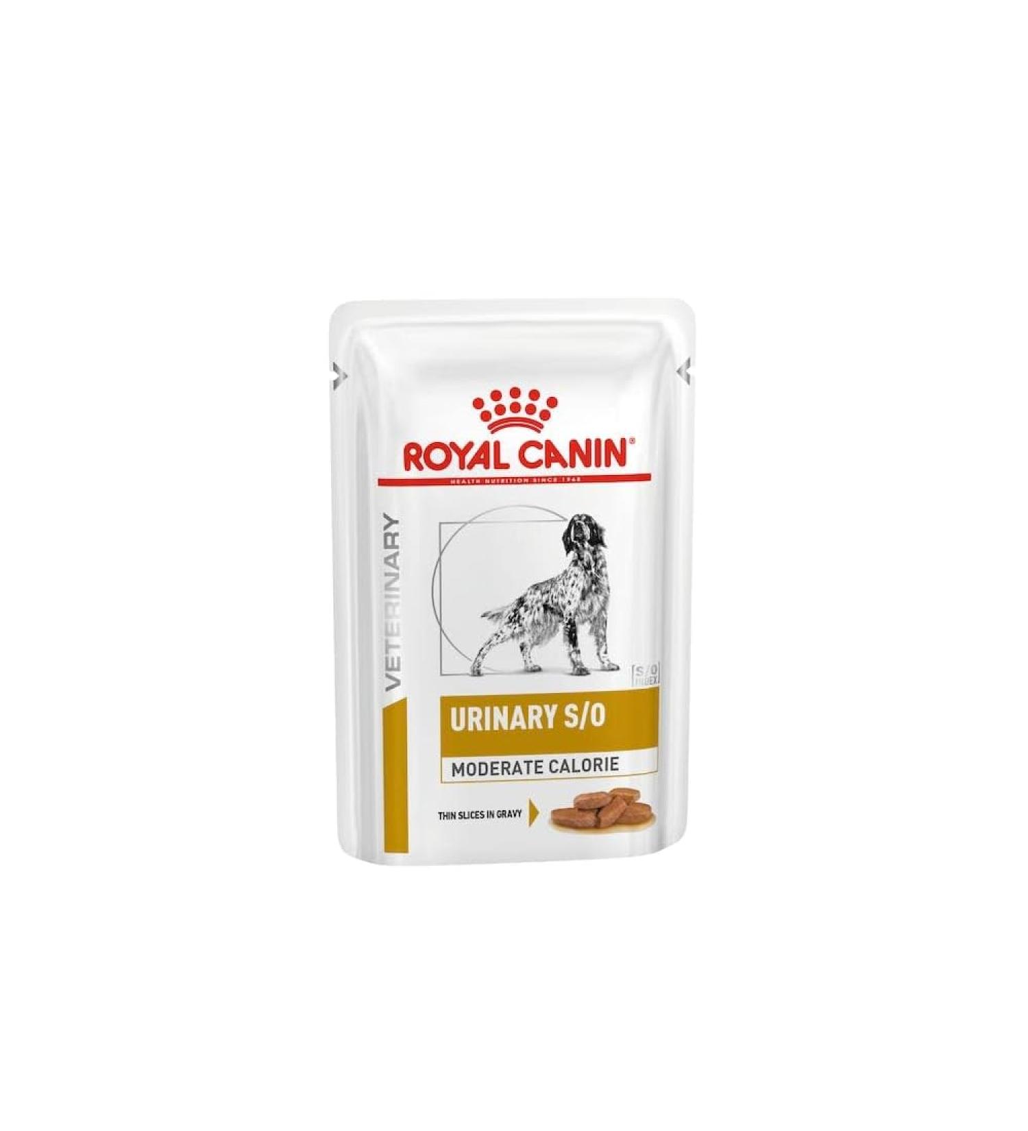 ROYAL CANIN Urinary S/O Moderate Calorie Wet Dog - 12 x 100g - Buy Online on GoSupps.com