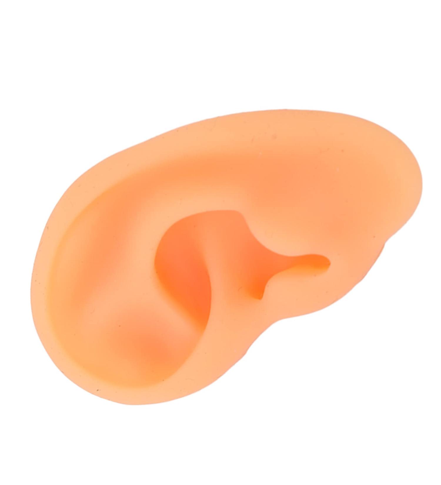 Silicone Ear Display Mould - Lifelike Educational Model for Hospital (Right Ear) - Buy Online on GoSupps.com