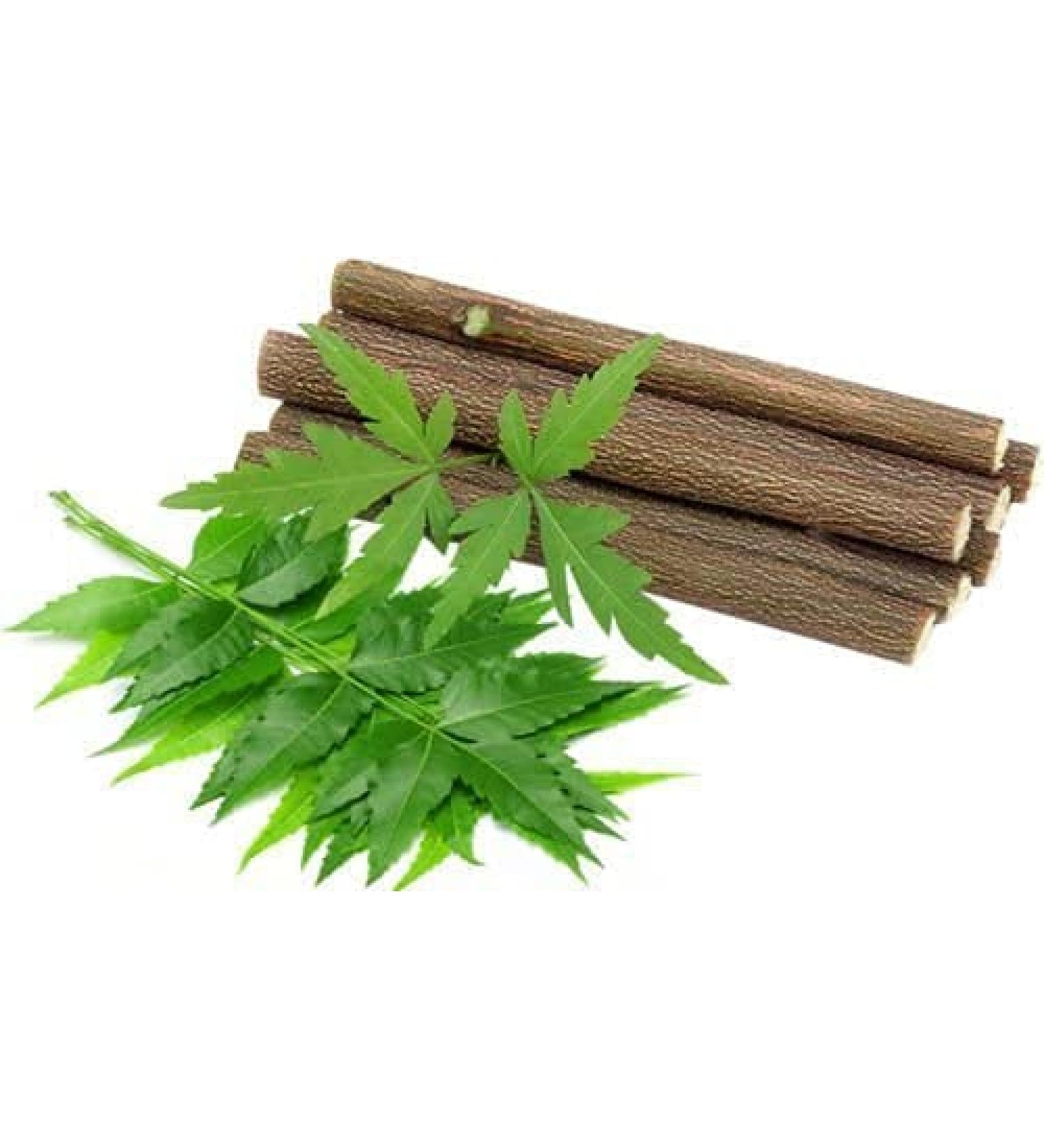 15 Chewing Sticks Of NEEM DATUN ORAL HERBAL TEETH & TONGUE CLEANER