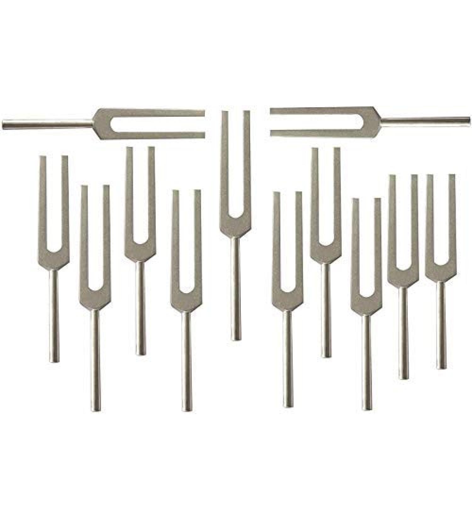 Yantra Set of 4 Osteo Bone Ligament Nerves Muscle Healing Tuning Forks with Mallet and Velvet Pouch