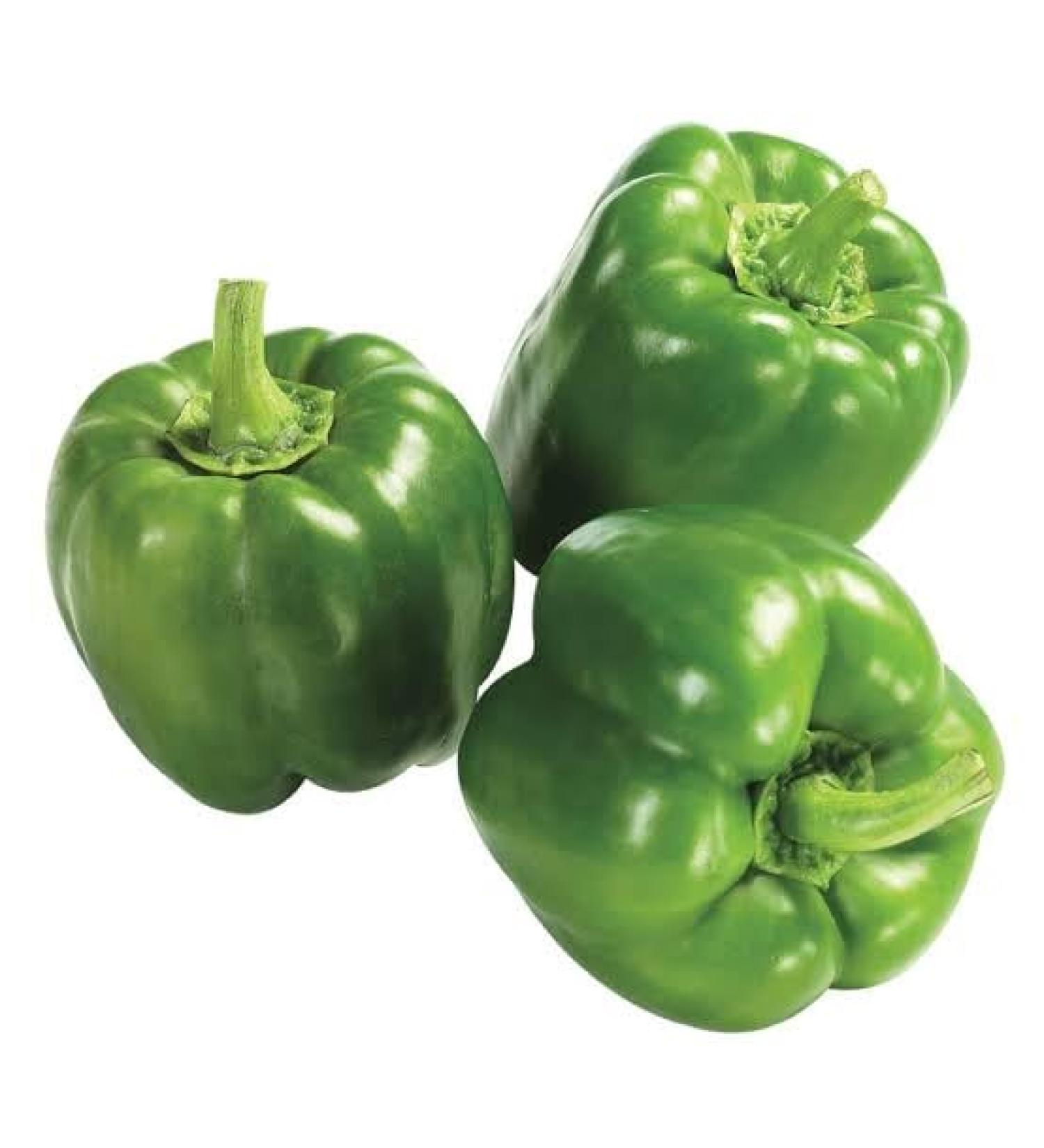 Veenas Paprica Green | 500G | Green Capsicum | 100% Fresh Vegetable | Indian Origin