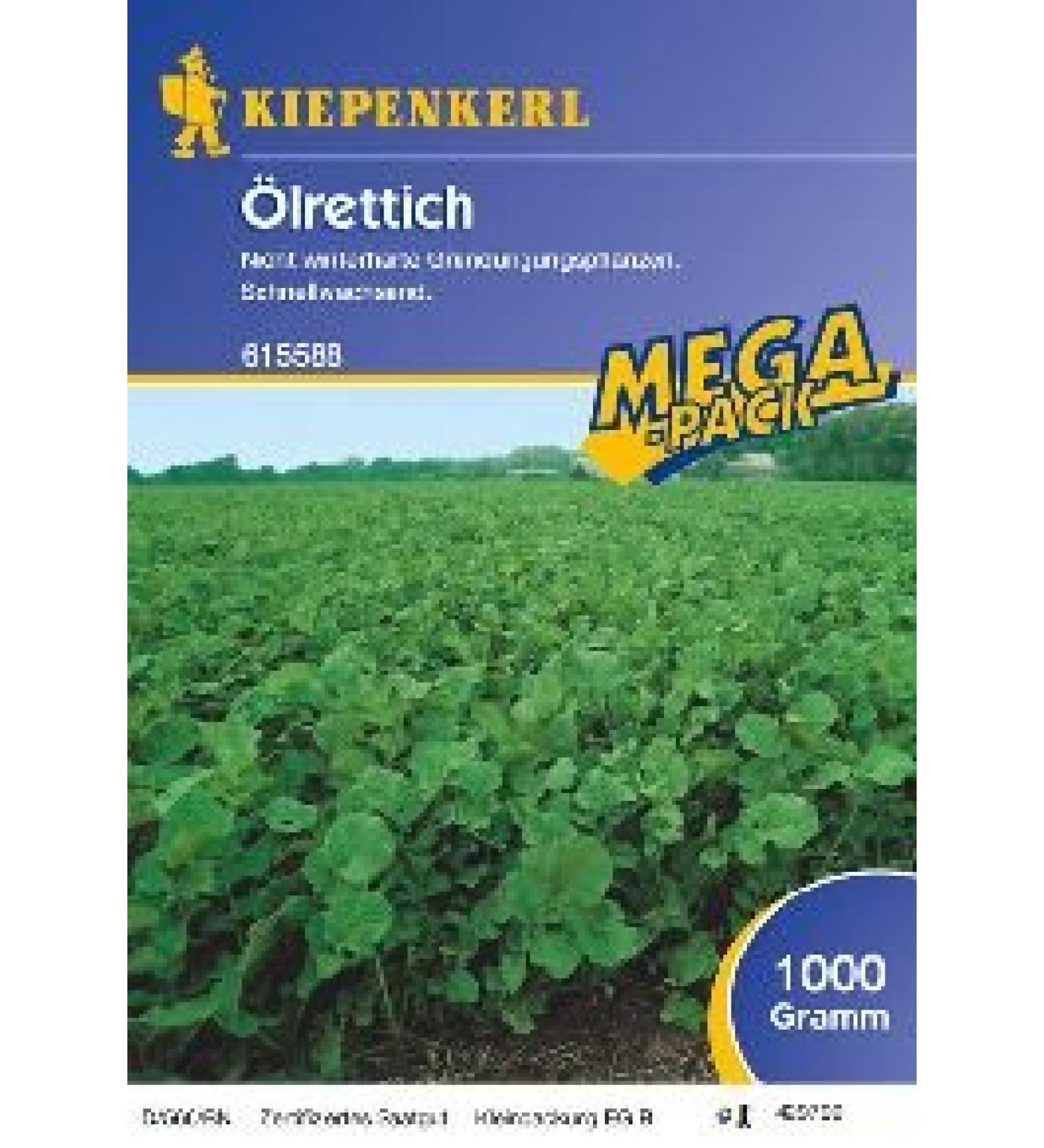 Oelrettich 1 kg
