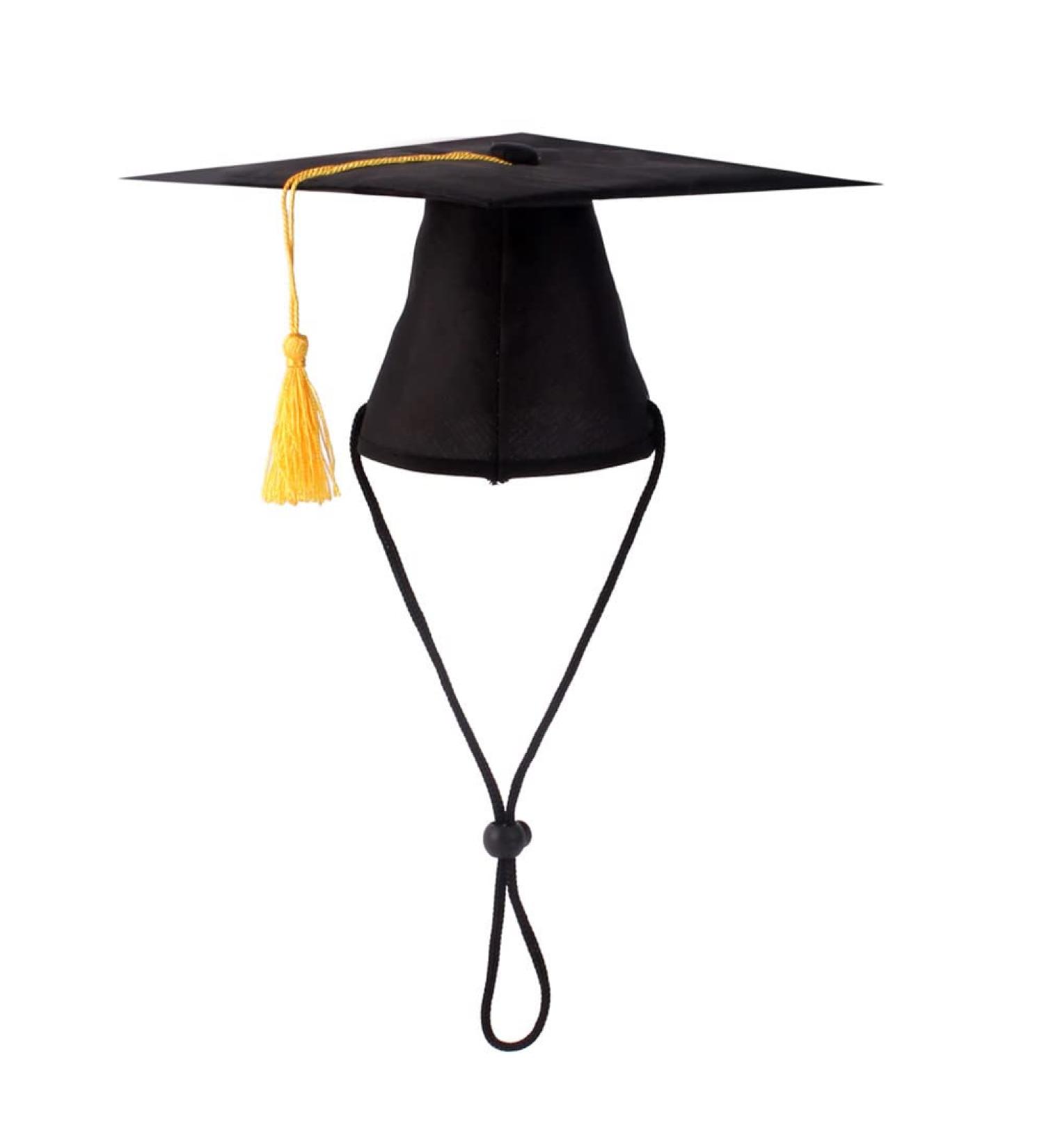 Pet Graduation Cap Dog Graduation Hat with Yellow Tassel Pet Grad Costume Party Apparel Holiday Accessory for Dogs Cats - Buy Online on GoSupps.com