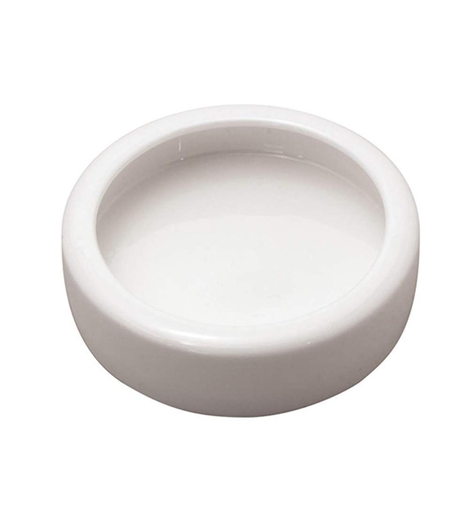 Reptile Food Water Dish Worm Bowl Mealworm Feed Feeder Mini Reptile Food Bowl Ceramics Made (L) - Buy Online on GoSupps.com