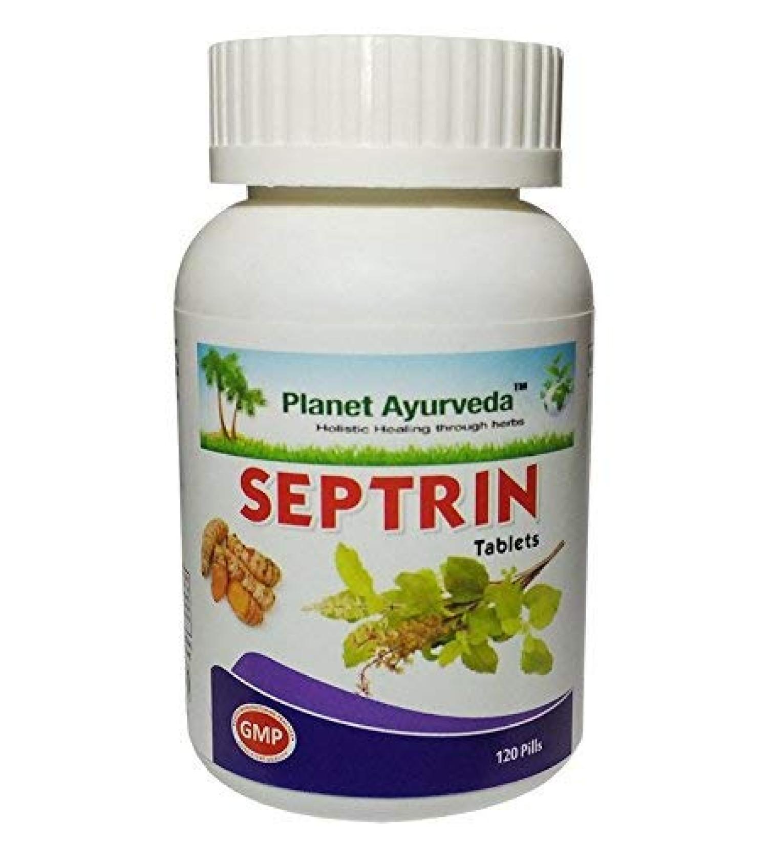 QuickShip Ayurveda Herbal Septrin Tablet-120 Tablets