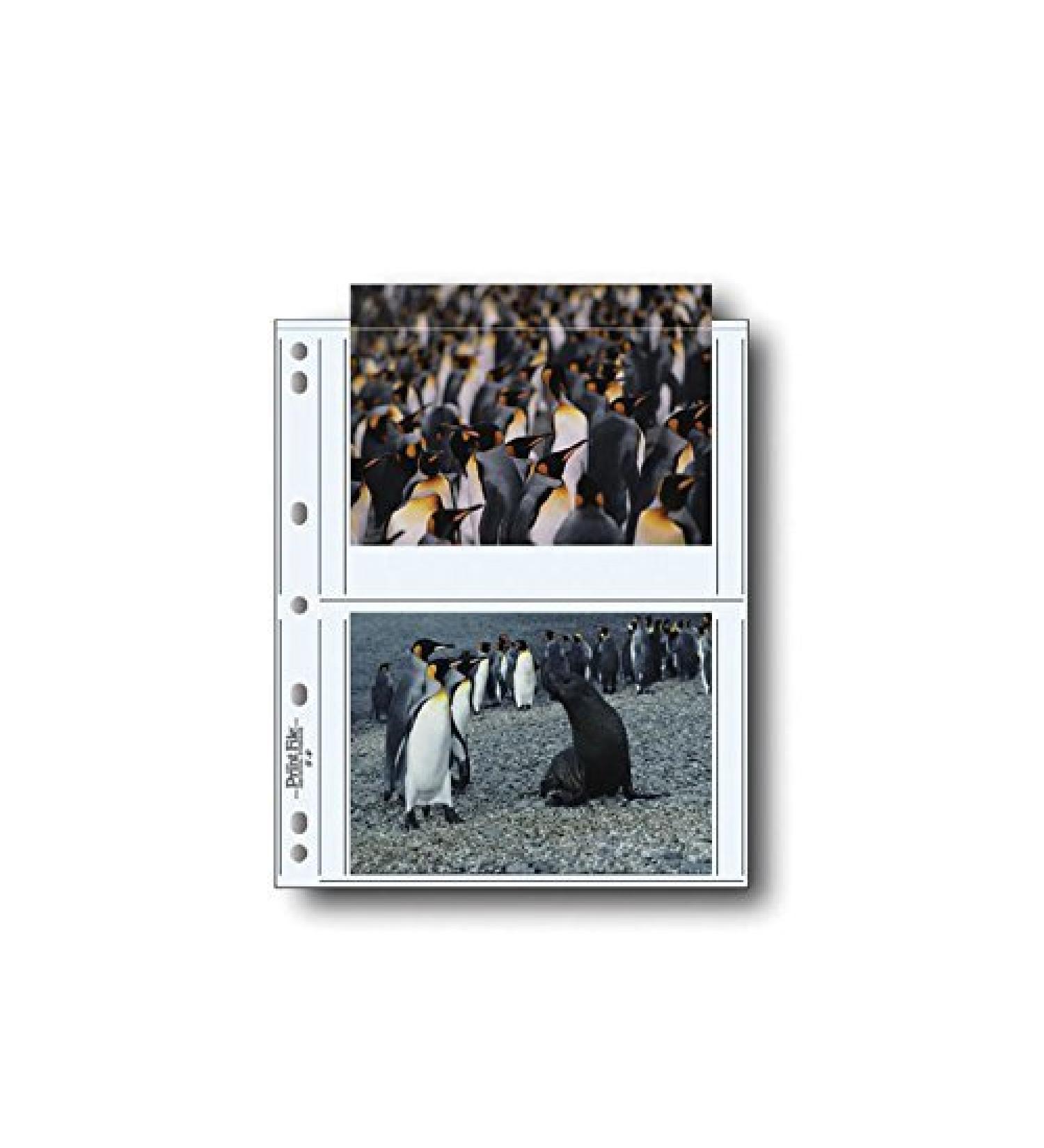 Print File Archival Storage Pages - Pack of 100 for Prints & Postcards | 060-0644 - Buy Online on GoSupps.com