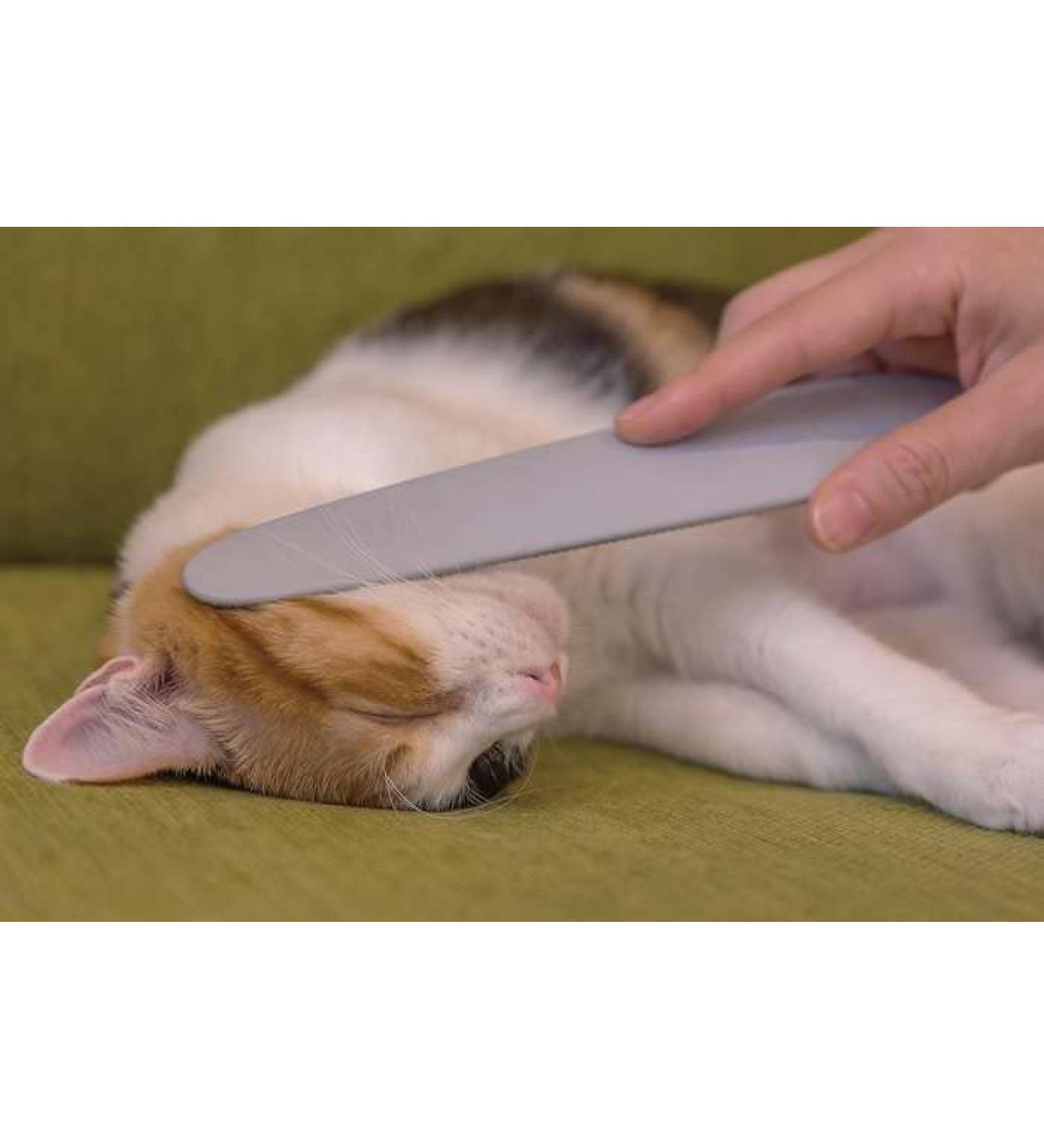 Nekojasuri Cat Carers (No Brush) - Original Patented Design from Japan | Perfect for Cat Grooming & Relaxation - Buy Online on GoSupps.com