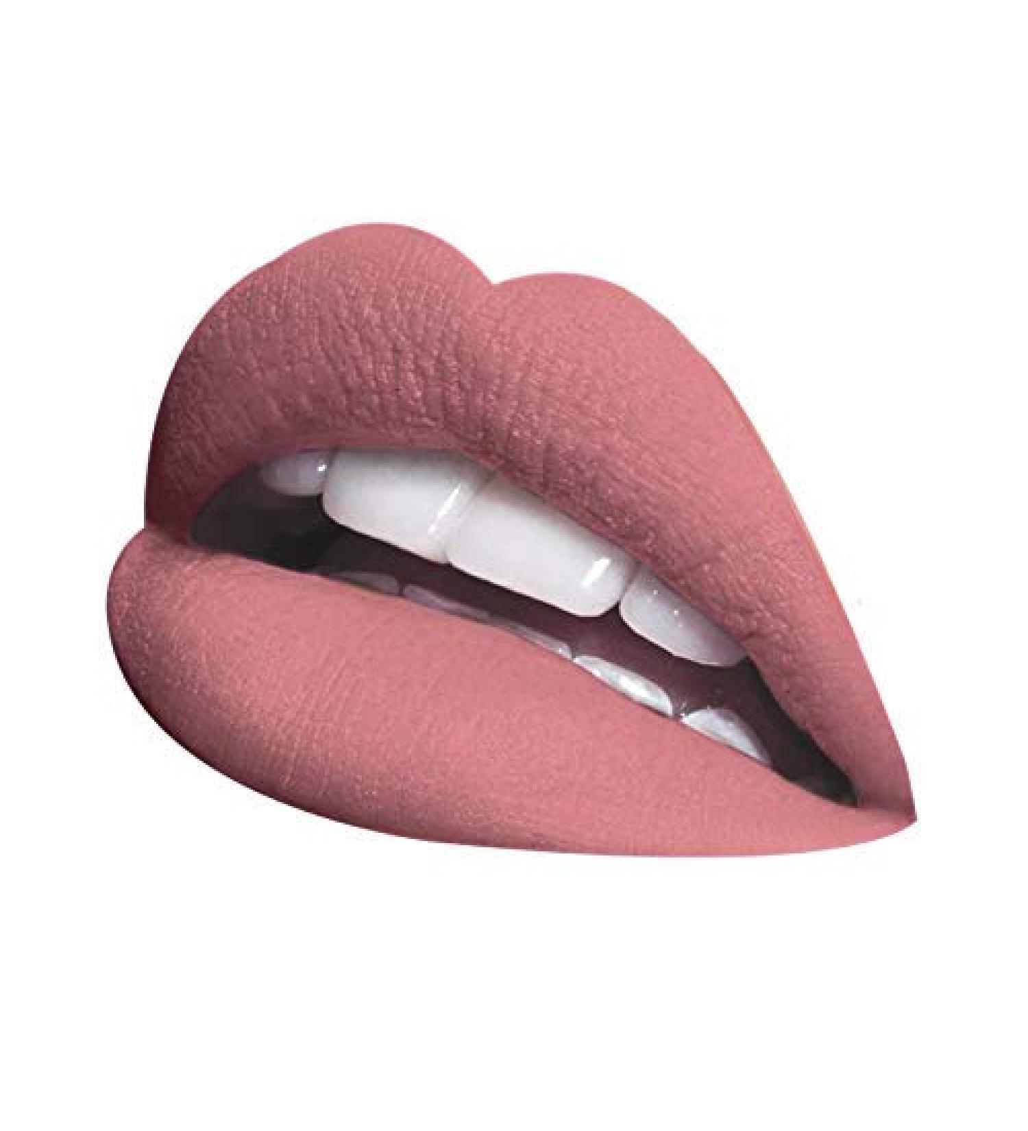 LA Splash Cosmetics Classic Hollywood Horror Collection Christine Waterproof Liquid Matte Pink Lipstick [2017 Limited Edition] - Buy Online on GoSupps.com