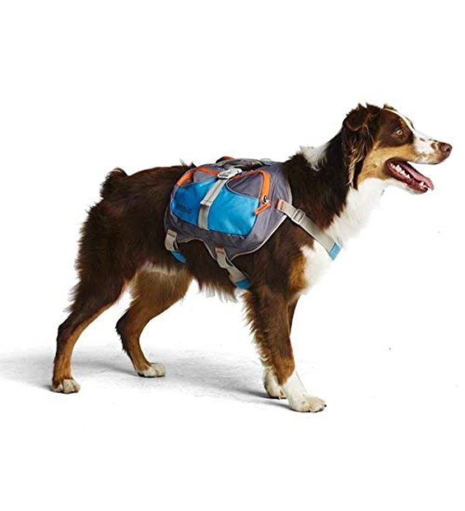 Cesar Millan Large Blue Dog Backpack - Travel in Style with Your Pup - Buy Online on GoSupps.com