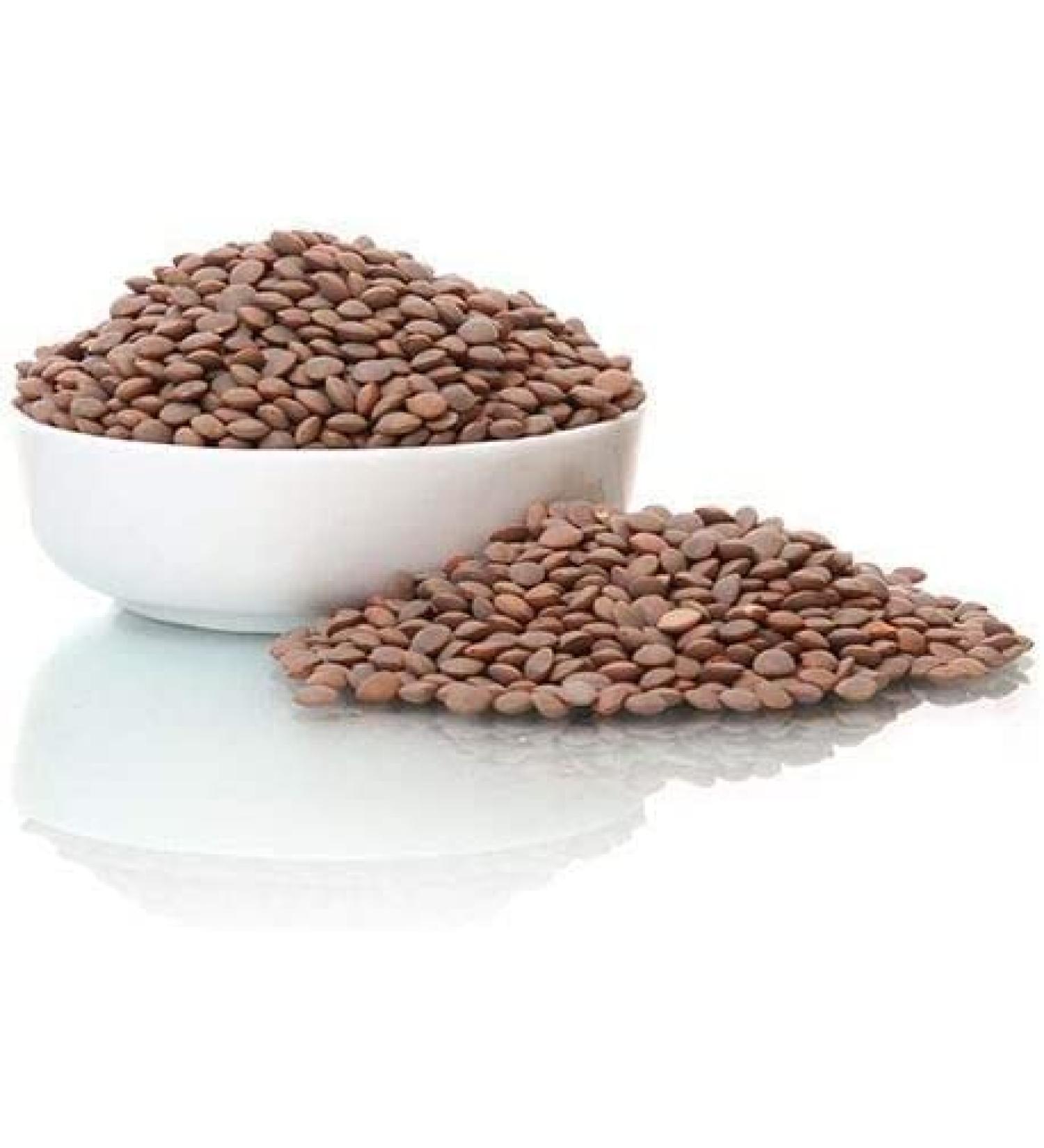 CROW Masoor Dal Whole Masoor Whole Whole Masoor Dal (500 GMS) Masoor Dal Whole Masoor Whole Whole Masoor Dal (500 GMS) - Buy Online on GoSupps.com