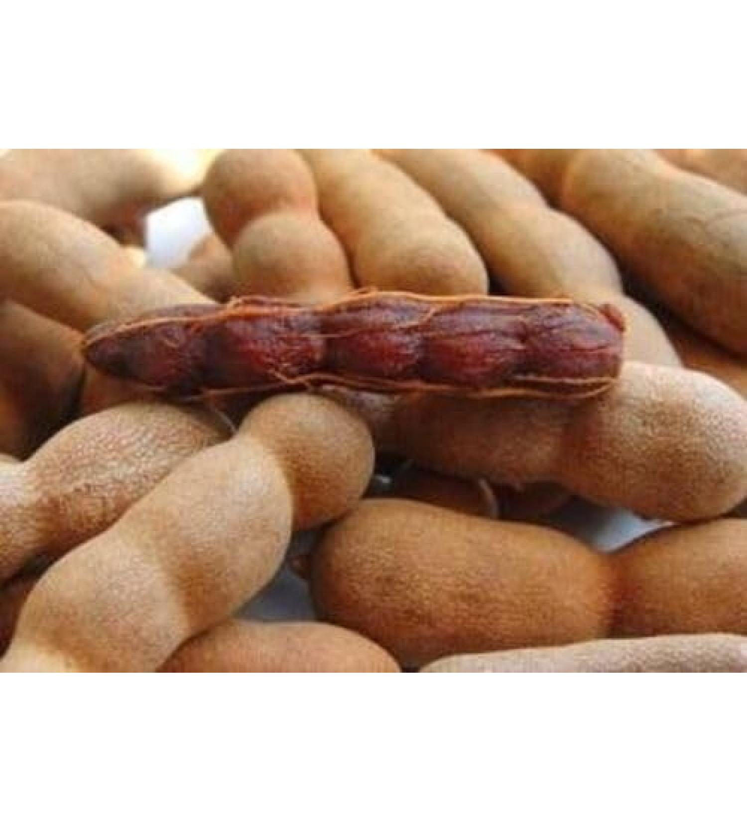 3 Pound (1362 grams) Sweet tamarind dried fruit from Yunnan China.