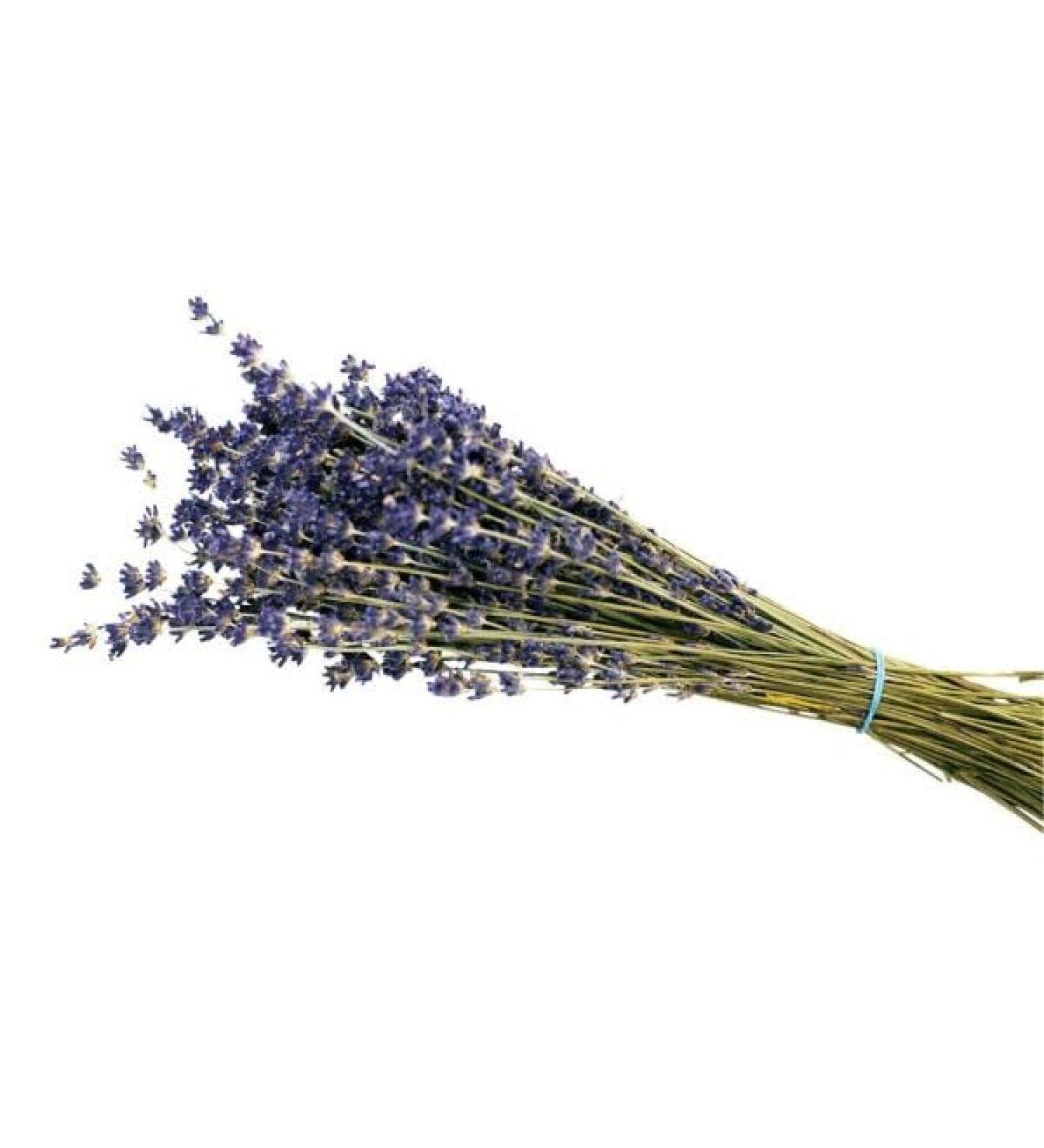 Dried Lavender Sprigs x 1 Bunch