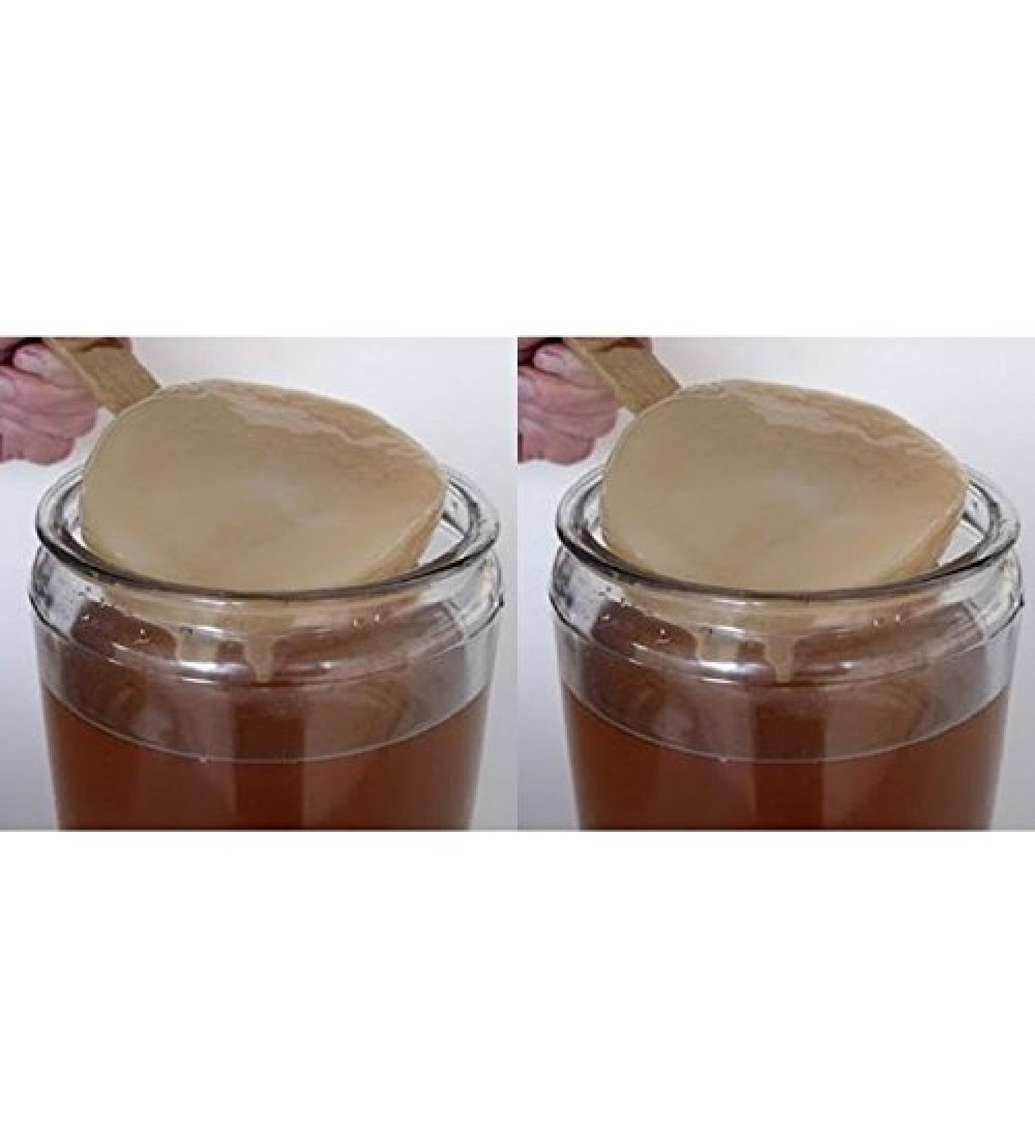 Pack 2X Disque SCOBY Kombucha + Instructions + Recettes + Aide et conseils en fran ais - KEFIRALIA