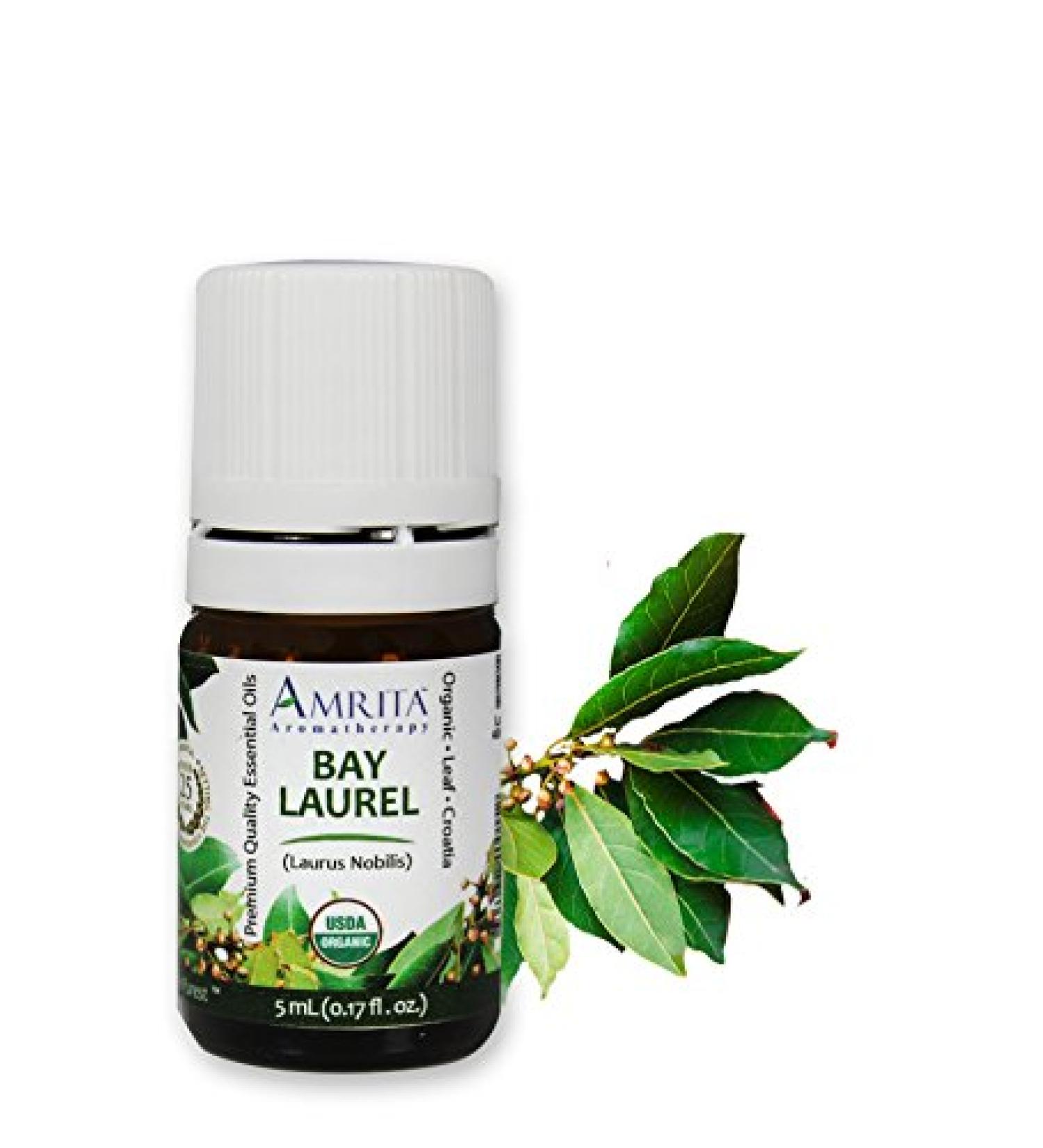 Amrita Aromatherapy Organic Bay Laurel Essential Oil 100% Pure Undiluted Laurus Nobilis Therapeutic Grade Premium Quality Aromatherapy oil Tested & Verified 5ML - Buy Online on GoSupps.com