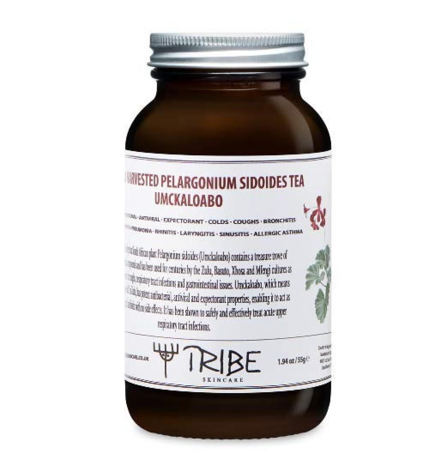 Tribe Skincare Wild Harvested Umckaloabo (Pelargonium Sidoides) Tea - Natural Relief for Colds Flu and Respiratory Tract Infections - Buy Online on GoSupps.com