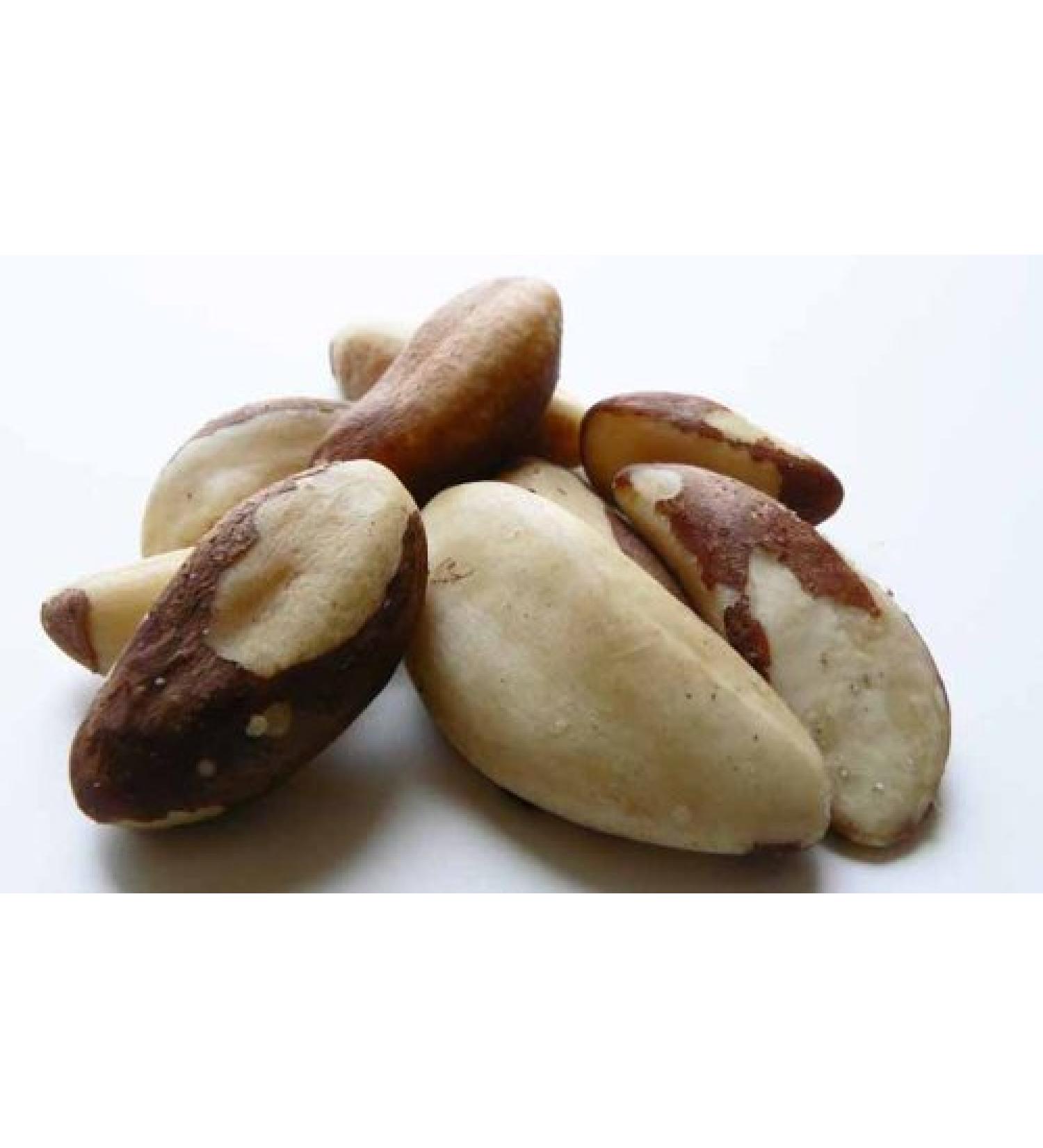The Nutty Fruit House Raw Brazil Nuts (No Shell) 1LB Bag