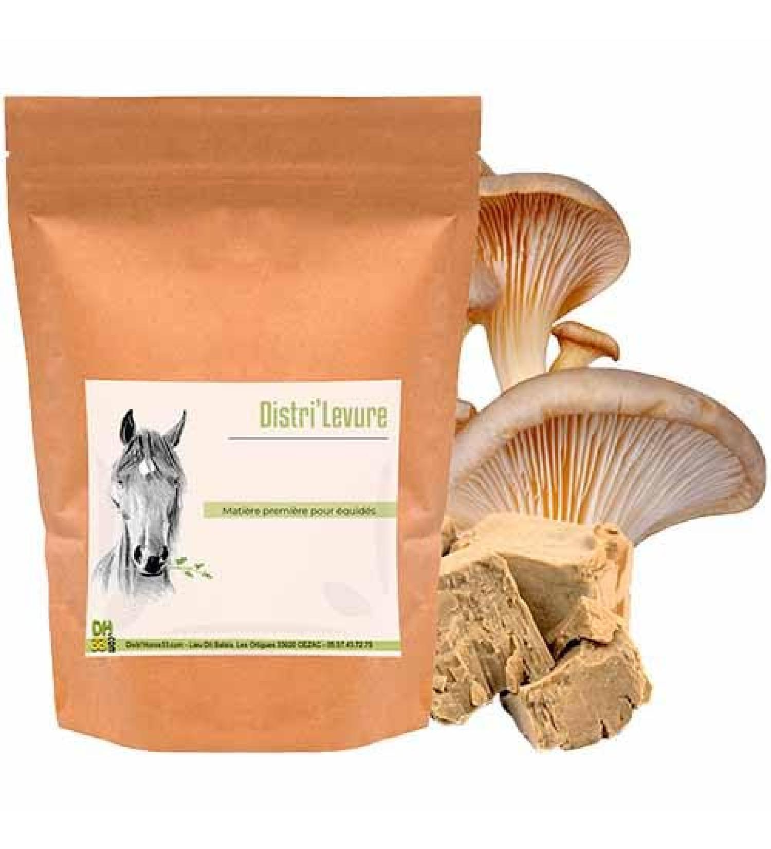 Distri'Levure Brewer's Yeast for Horses 500 g - Buy Online on GoSupps.com