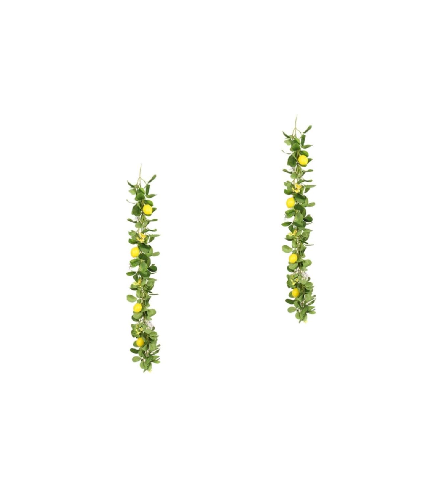 Zerodeko 2pcs Lemon Cane Spring Fruit Garland Front Door Wreaths Festival Garland Fruit Plants Hanging Lemon Artificial Lemon Garland Front Door Decor Silk Flower Branch Decorative Flower - Buy Online on GoSupps.com