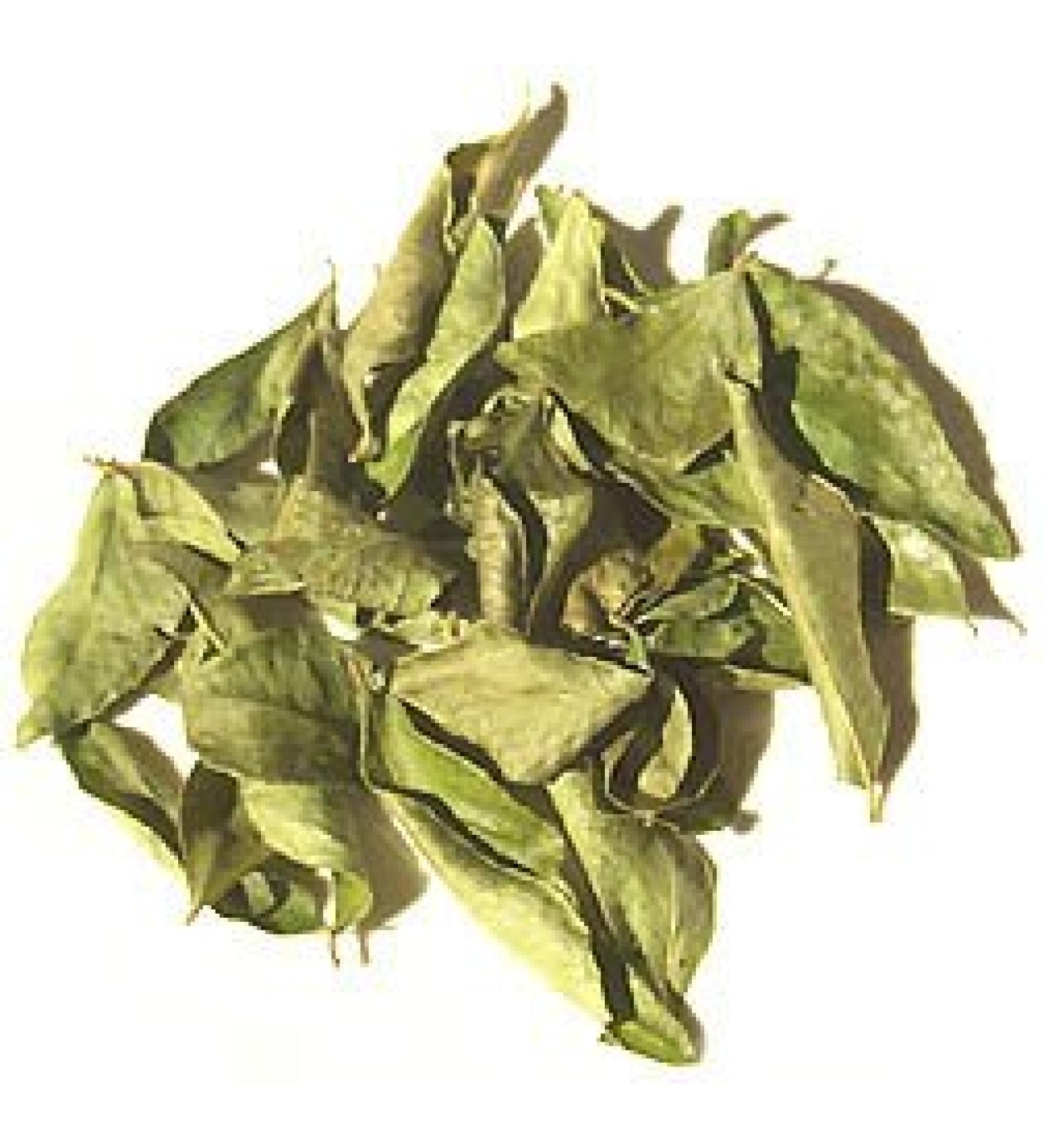 Falconsuperstore Extra Large 250g Bag Dried Curry Leaves Indian Spices Premium Seasoning