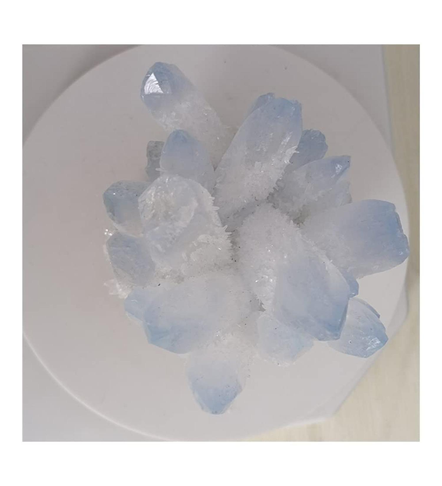 Blue Ghost Phantom Quartz Crystal Cluster Specimen kaixun (Size : 401-500g) - Buy Online on GoSupps.com