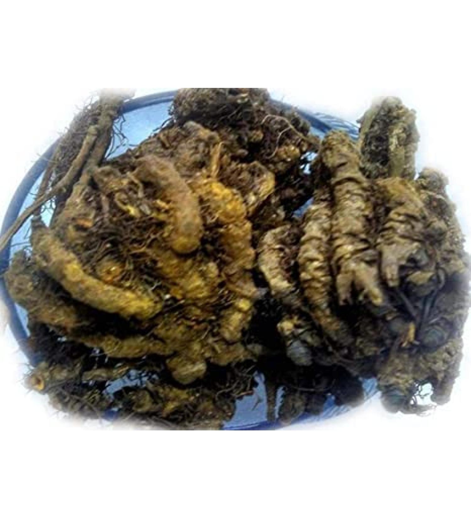 Mamira Coptis Teeta 250 Grams Pack by Tradebulk