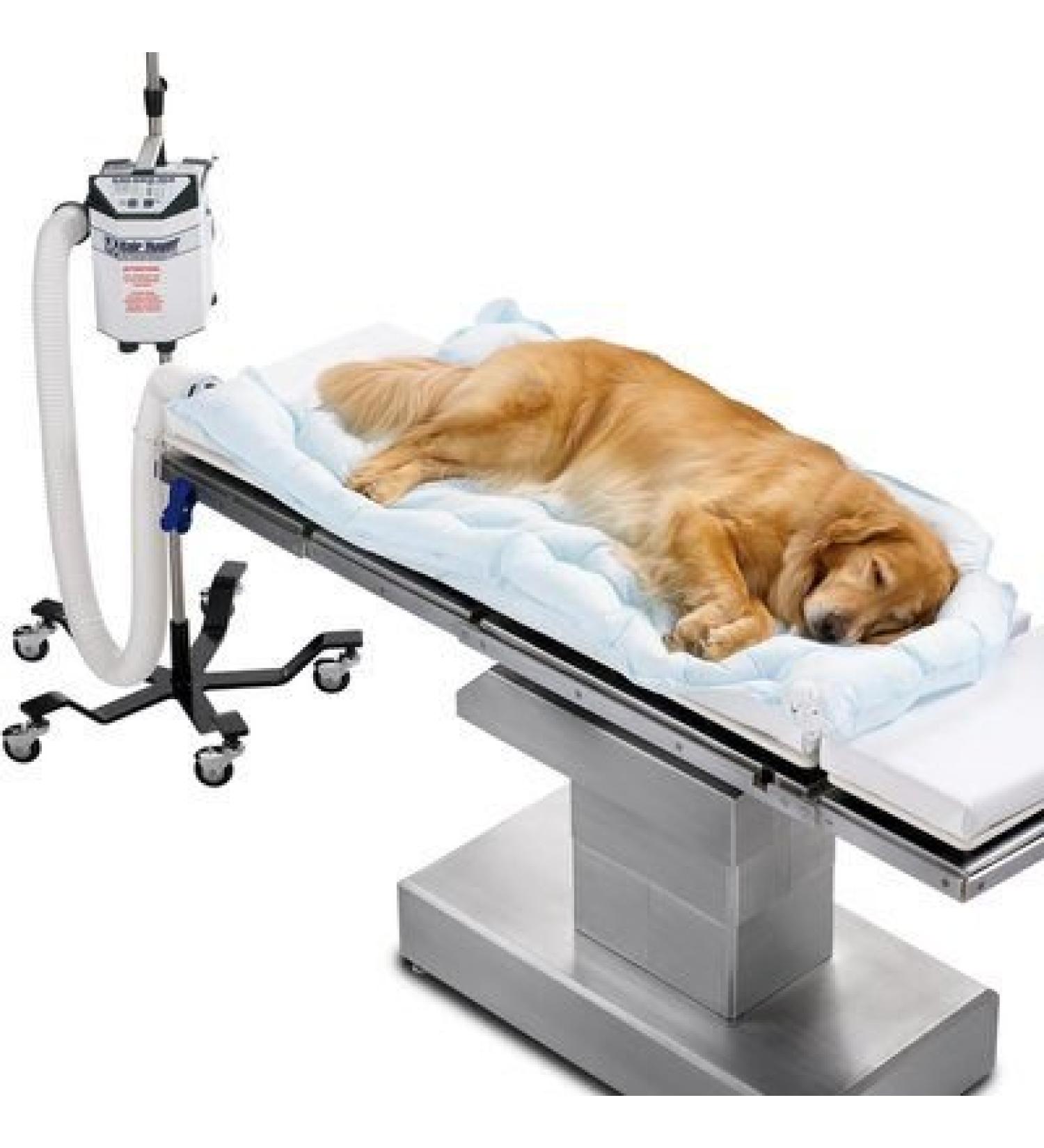 3M 55077 Bair Hugger Animal Health Blanket Underbody Long (Pack of 10)