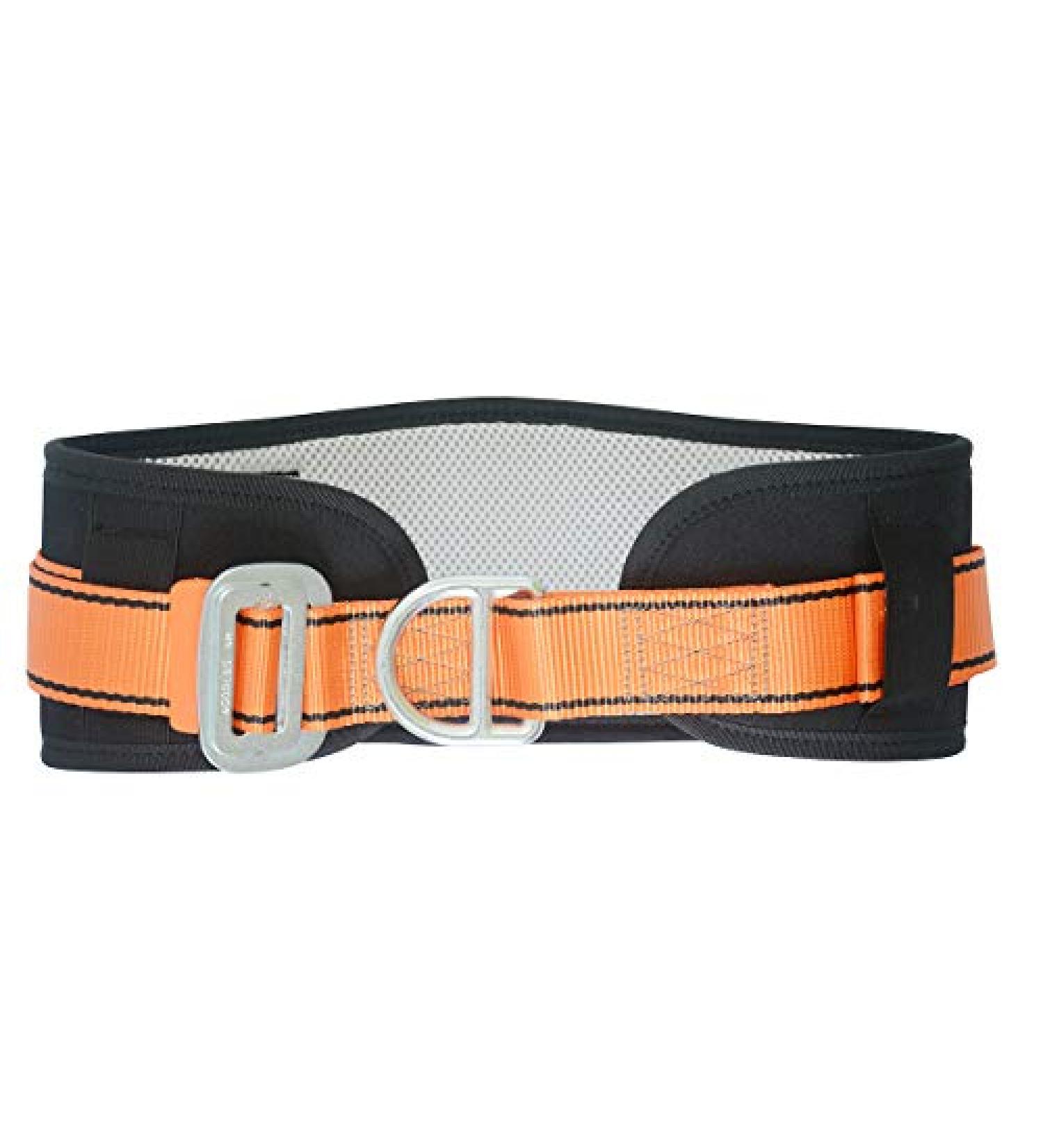 Large HeeJo Body Safety Belt with Waist Pad, Side D-Ring - PPE for Climbing, Rescue & Rappelling - Buy Online on GoSupps.com