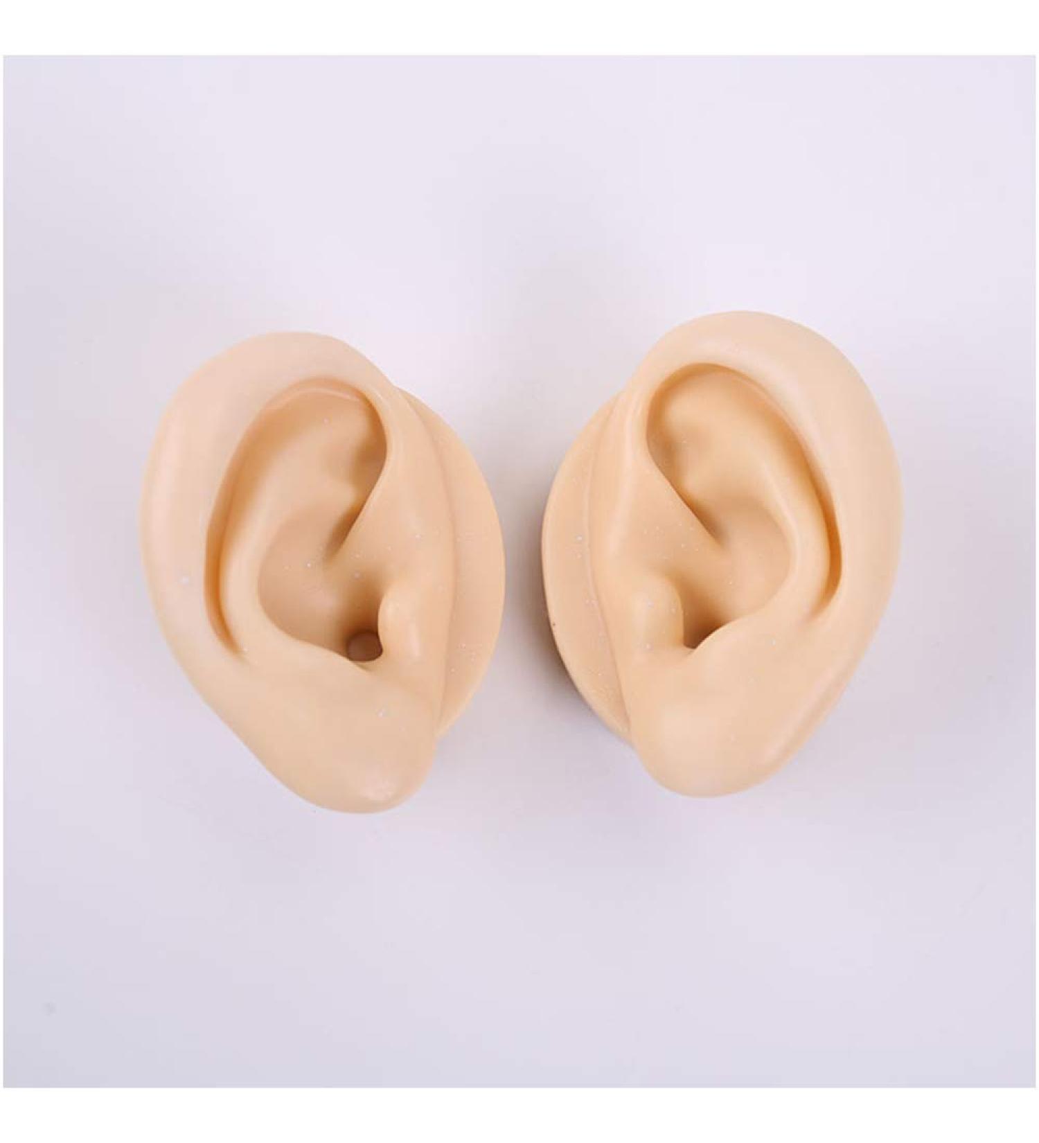 Silicone Ear Model for Acupuncture - Soft Silicone Ear Model for Teaching - 1 Pair Artificial Ear Model for Ear Picking Practice Studs Earring Display Props - Buy Online on GoSupps.com