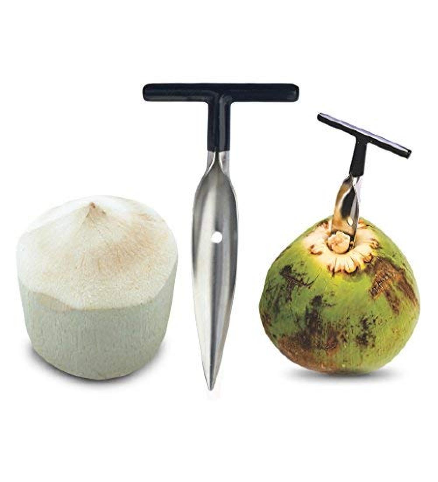Stord Coconut Opener - Open Fresh, Young White Coconuts in Seconds - Buy Online on GoSupps.com