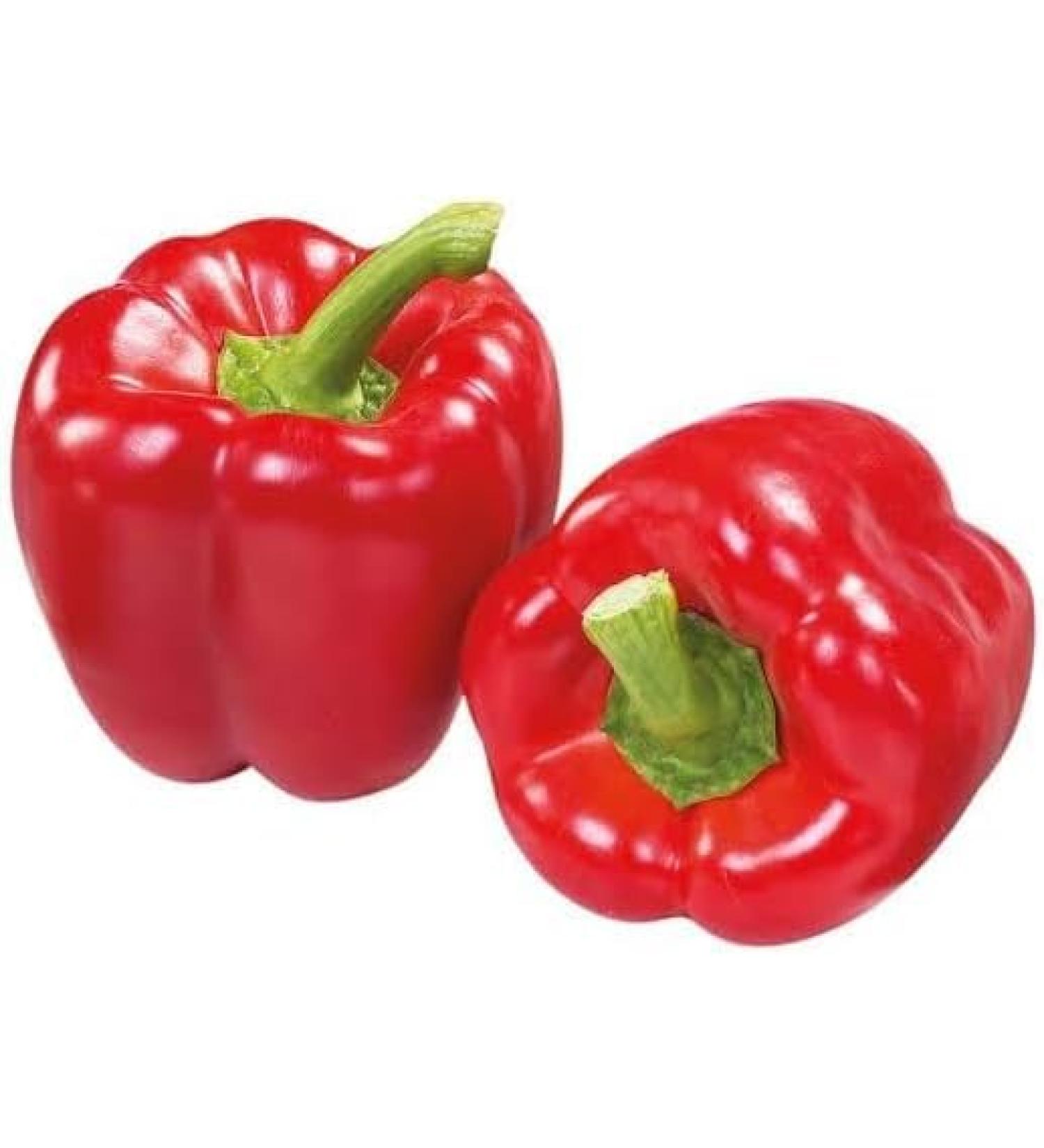 Seelans Paprica Red | 1KG | Red Capsicum | 100% Fresh Vegetable | Indian Origin | Next Day shipping - Buy Online on GoSupps.com