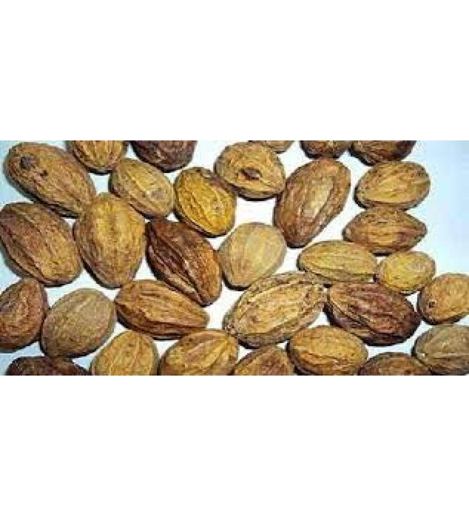 Harad/Aralu/Inknut/Haritaki/Kadukkai/Harar/Terminalia Chebula/Ayurvedic/Herbal Medicine - 250 Gram