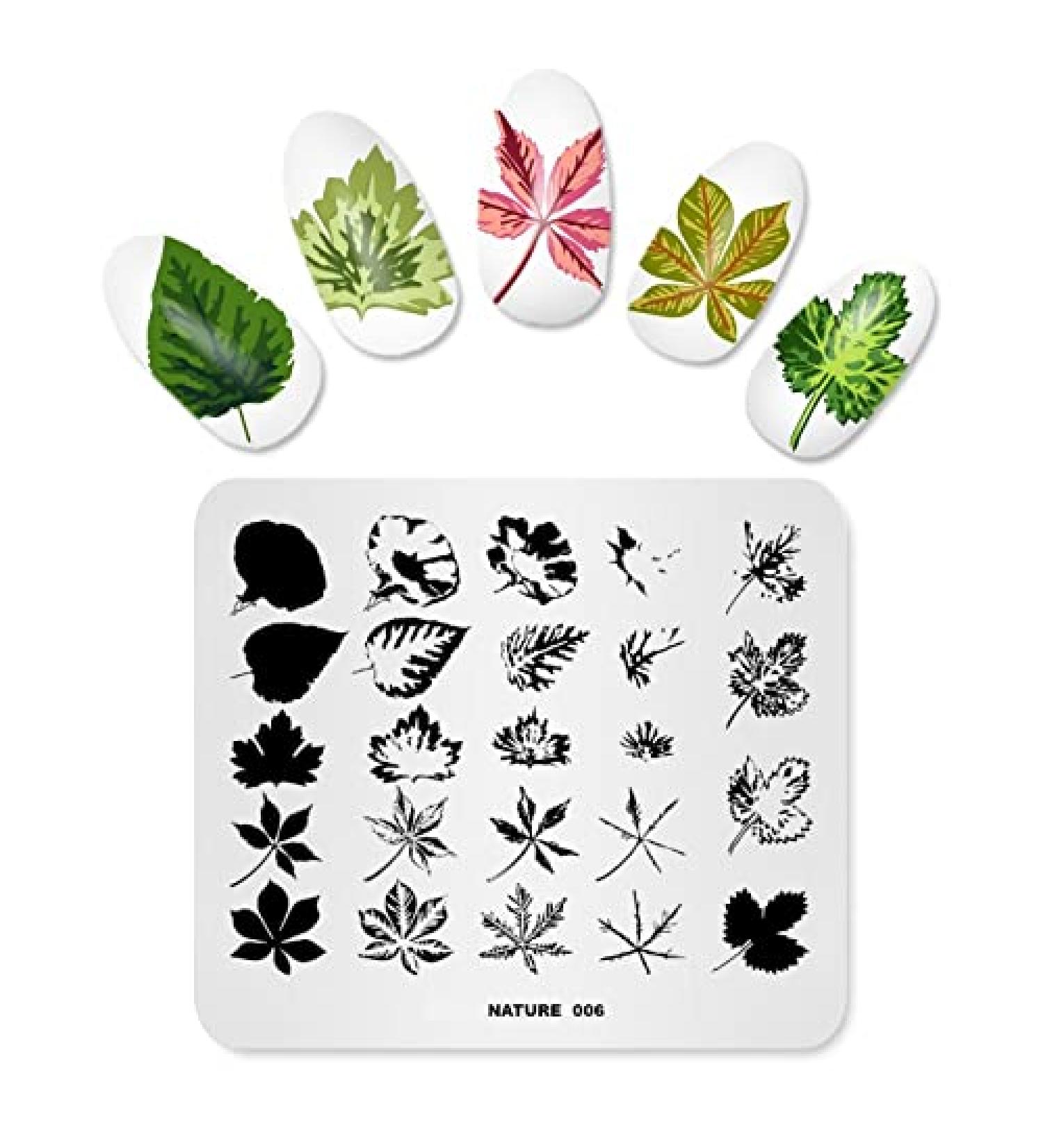 Alexnailart NA006: Natural Leaves Nail Art Stamping Plate for DIY Stencil Designs - Buy Online on GoSupps.com