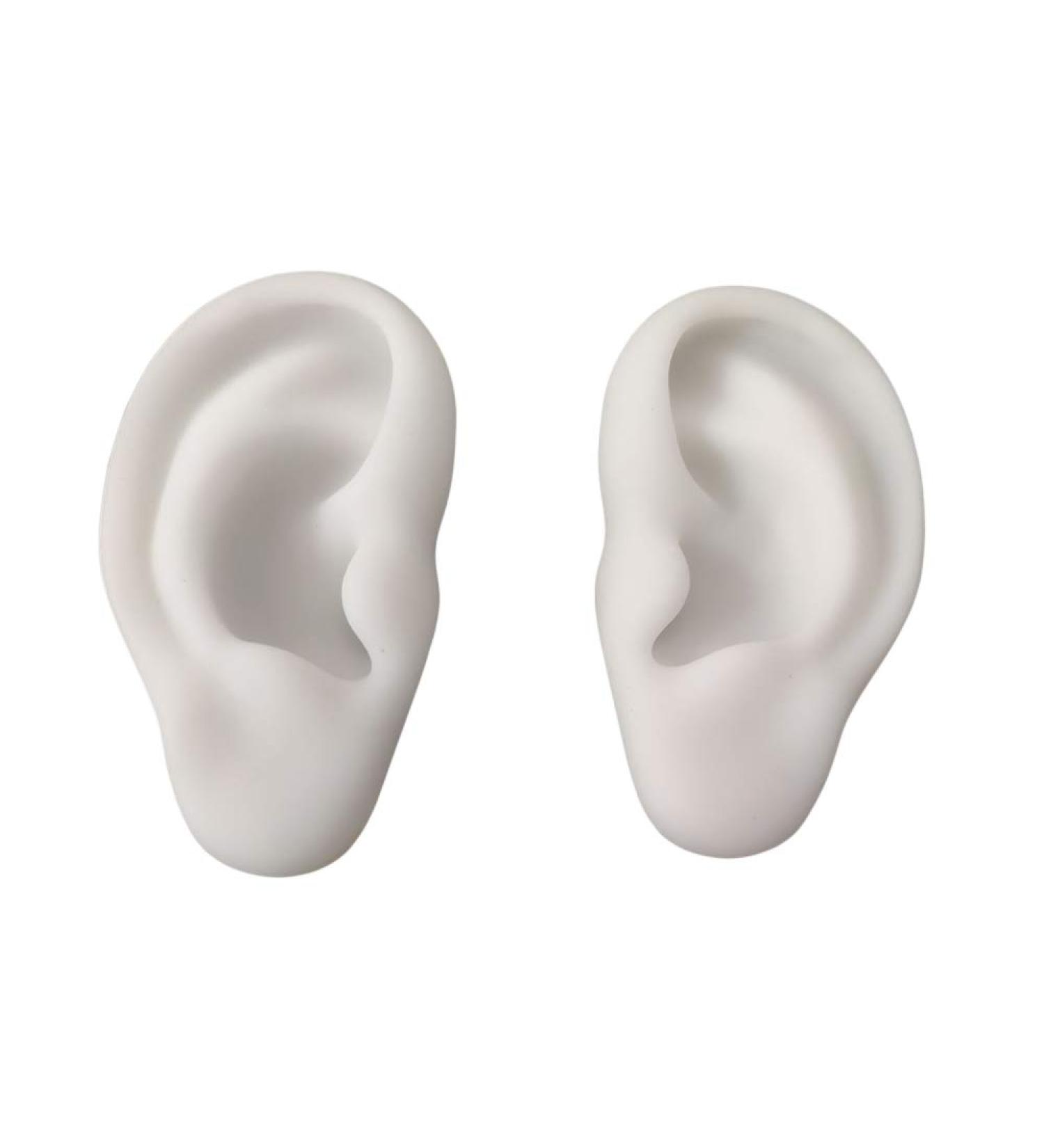 Fhuili Soft Silicone Ear Model for Acupuncture & Ear Picking Practice Realistic Simulation Human Ear for Display & Earring Headset Props (1 Pair) - Buy Online on GoSupps.com