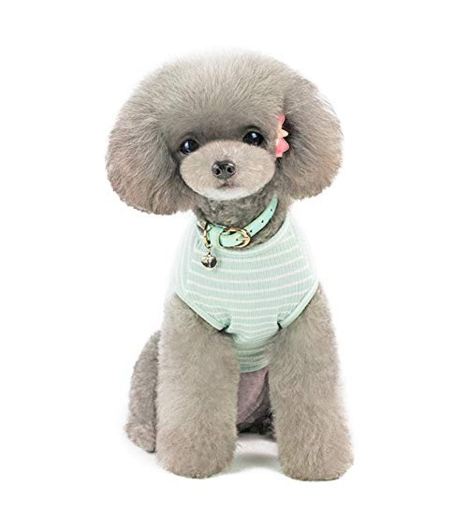Shop Cute Striped Pet Pullover & Sweaters for Small Dogs & Cats Lightweight & Stylish | Pink Red Blue Gray - Buy Online on GoSupps.com