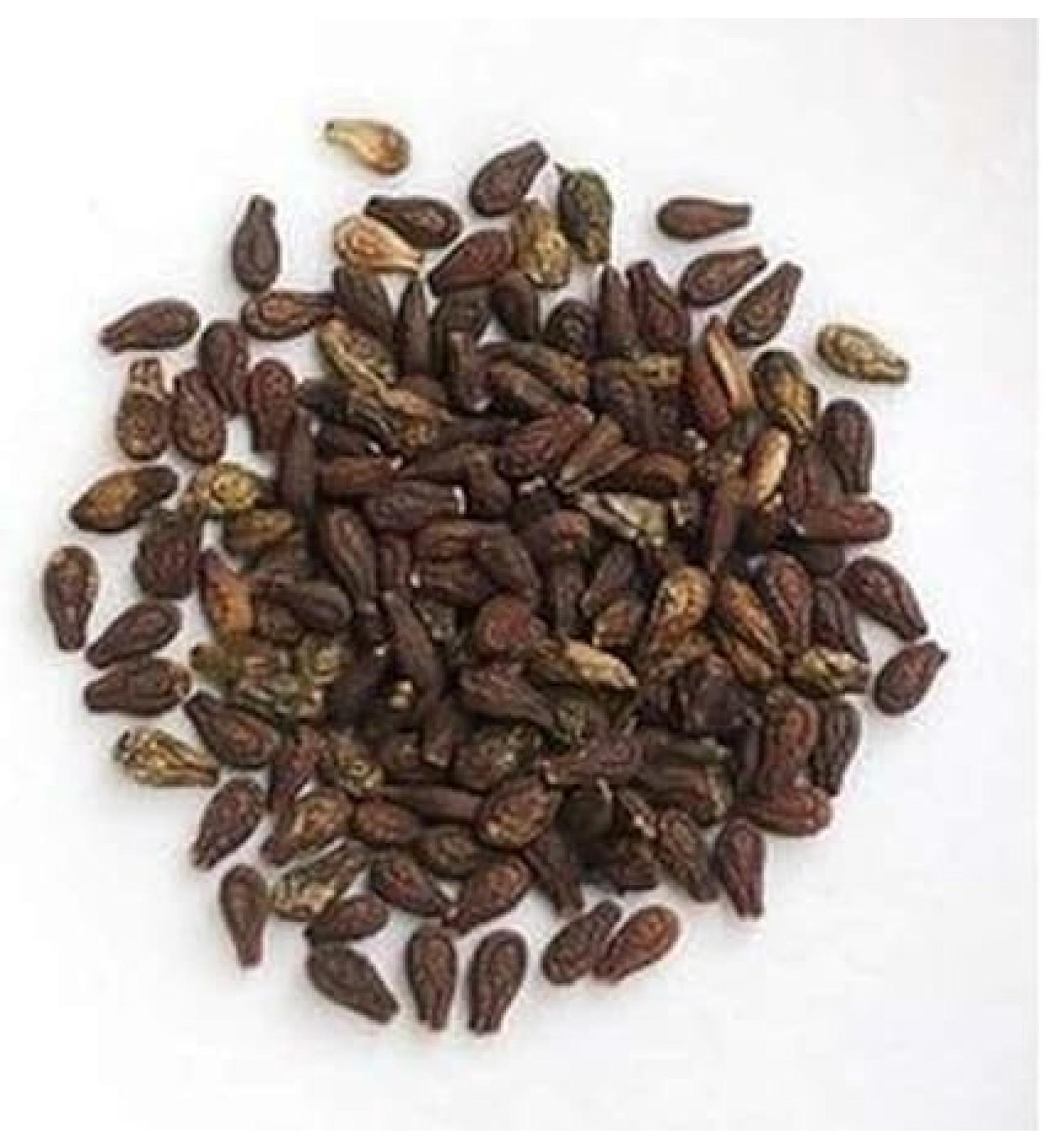 sm Ayurvedics Sh.ivlin.gi B.eej | Shiv.lingi be.ej - 250 Gm - Buy Online on GoSupps.com