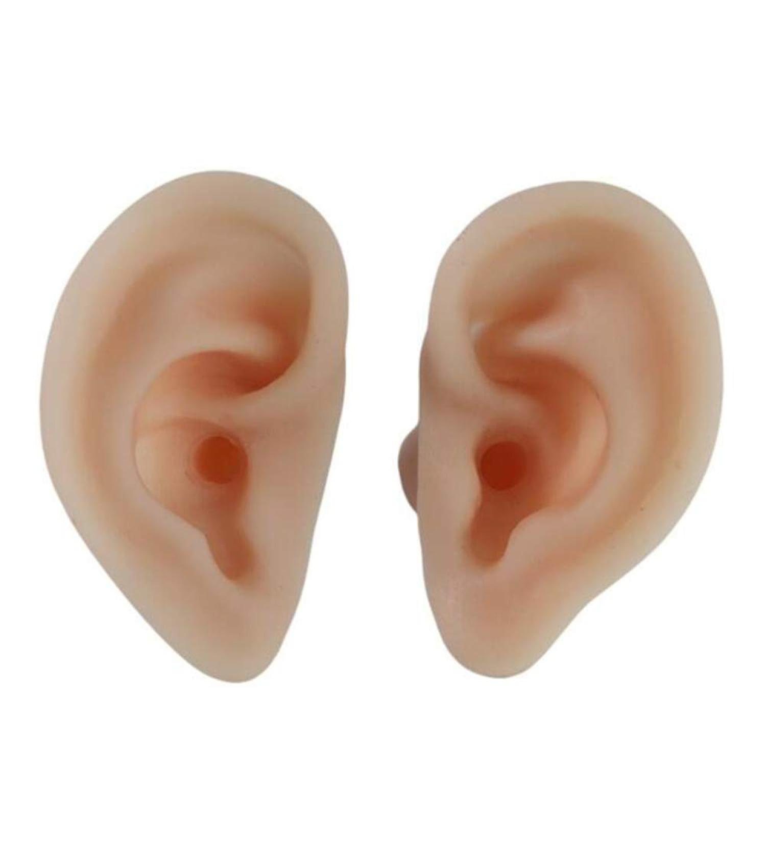 Simulation Ear Model - 1 Pair Soft Silicone Artificial Ear Model - Acupuncture Practice Human Left Right Ear Model - for Piercing Practice Jewelry Display Props - Buy Online on GoSupps.com