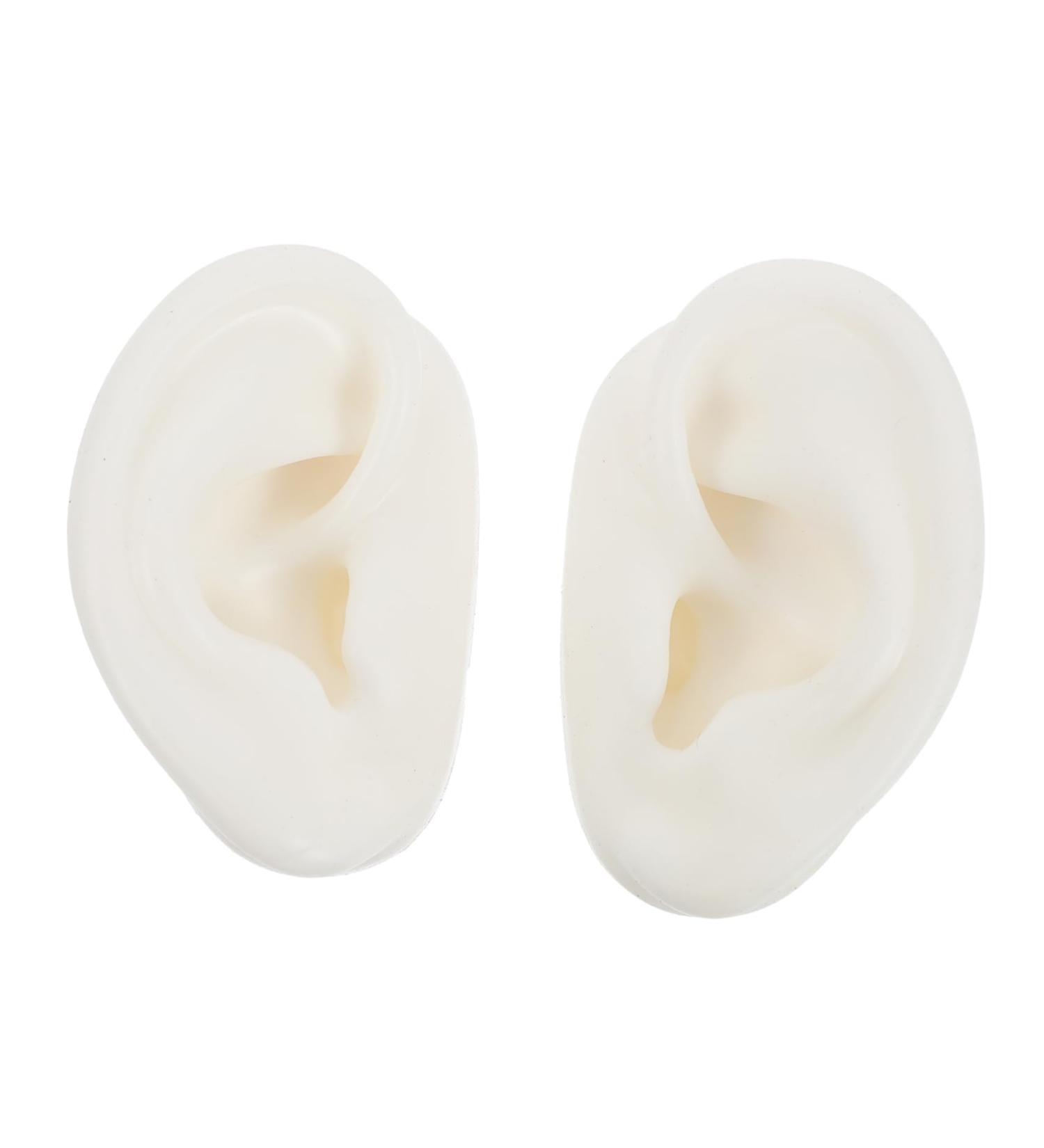 Didiseaon 1 Pair Silicone Fake Ear Model Display for Studs Human Ear Simulation Model Smooth Texture - Buy Online on GoSupps.com