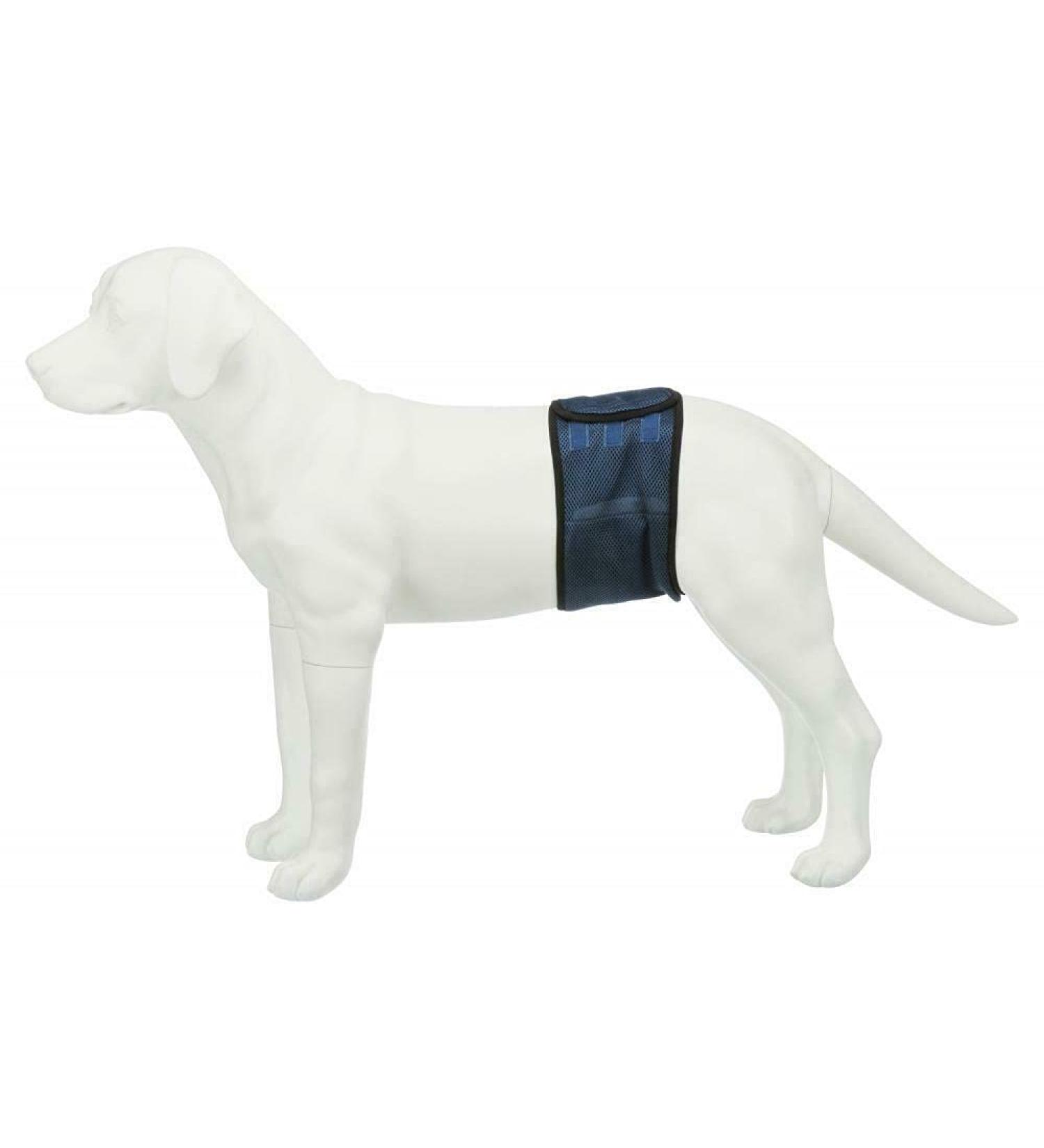 Shop Trixie Belly Band for Male Dogs - Size L (55-65 cm) | Comfortable & Secure Solutions for Pet Parents - Buy Online on GoSupps.com