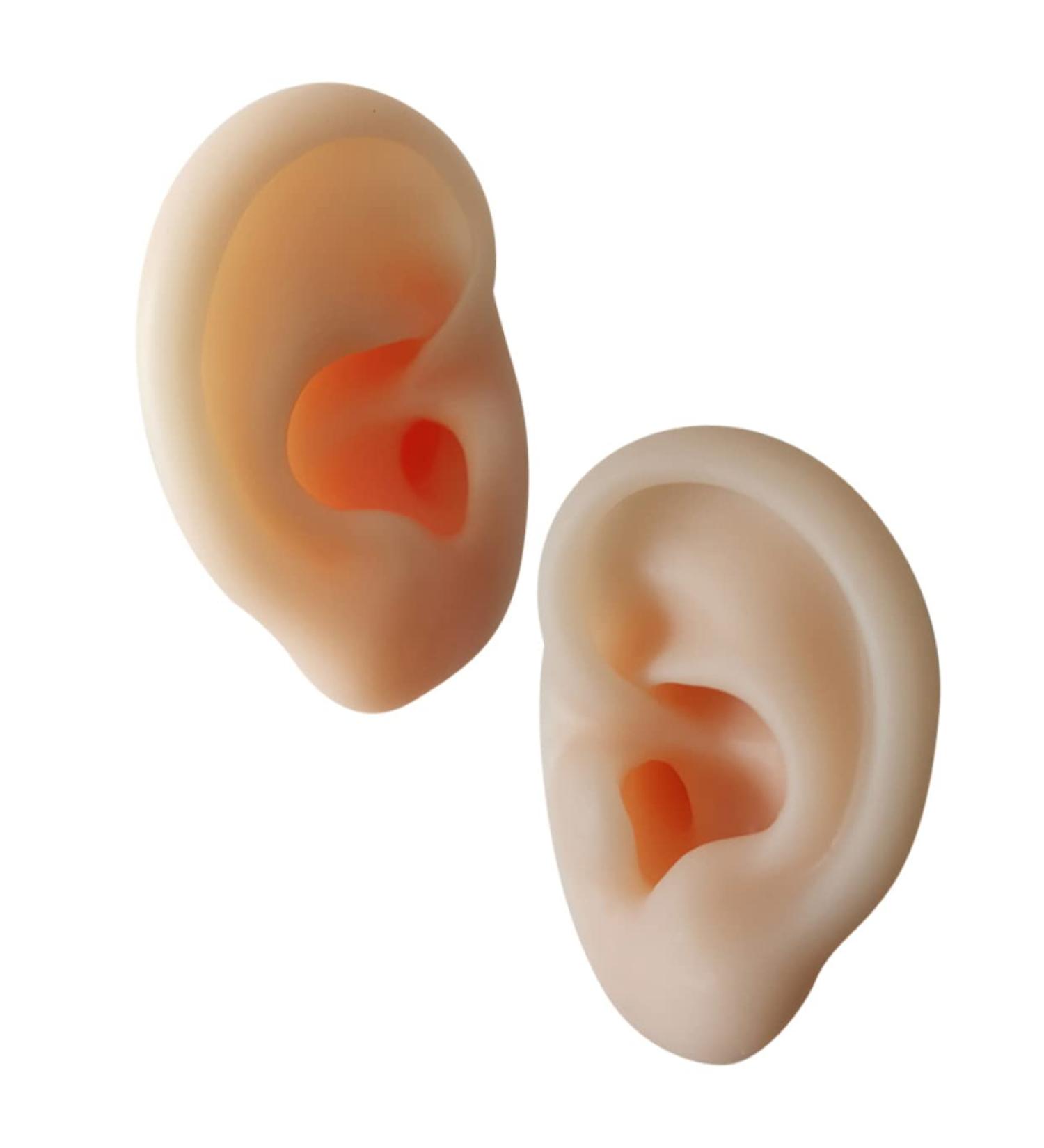 Operitacx Silicone Ear Model - Educational Ear Acupoint Learning Tool - Buy Online on GoSupps.com