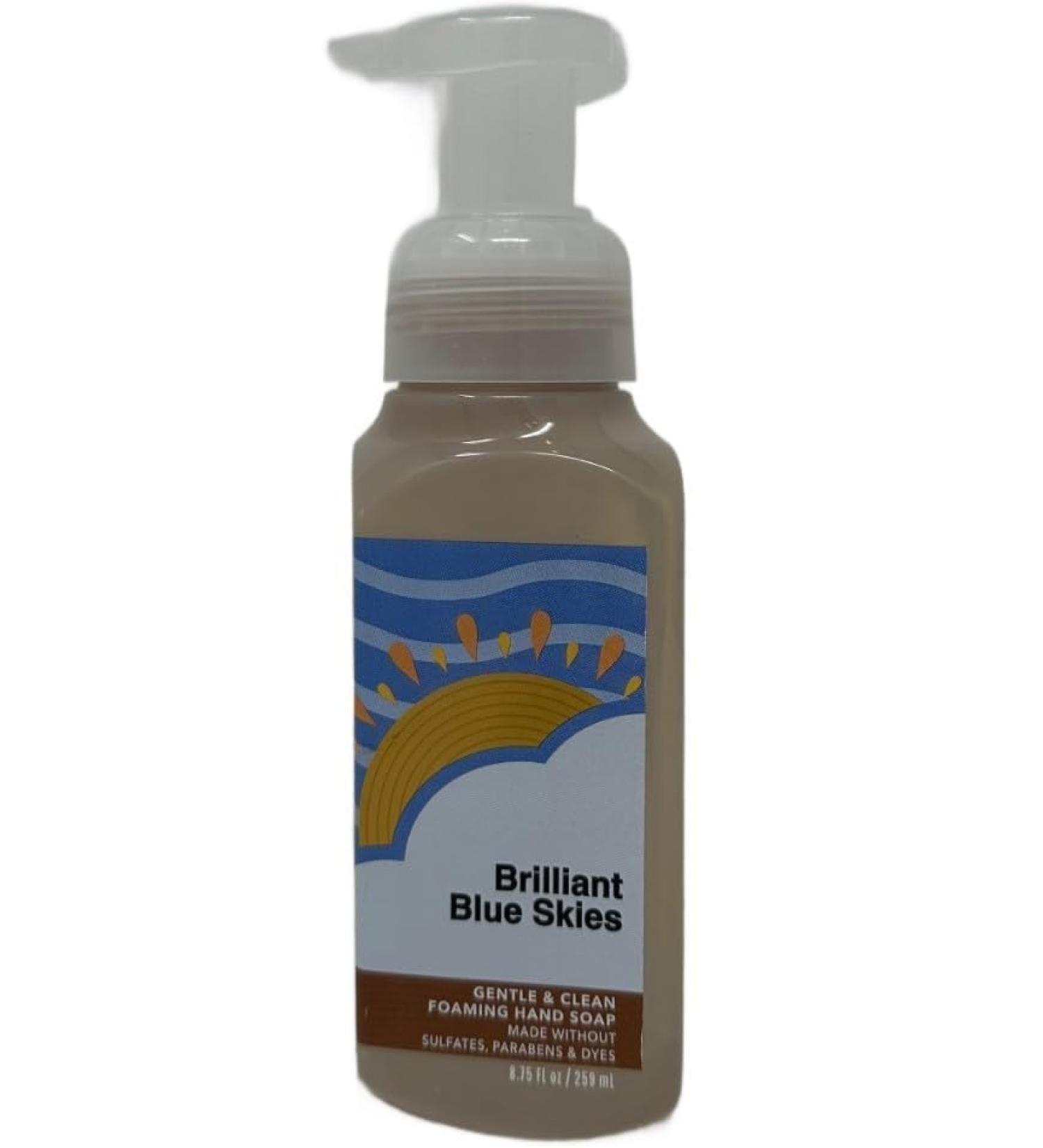 Brilliant Blue Skies Gentle & Clean Foaming Hand Soap 8.75 fl oz / 259 mL