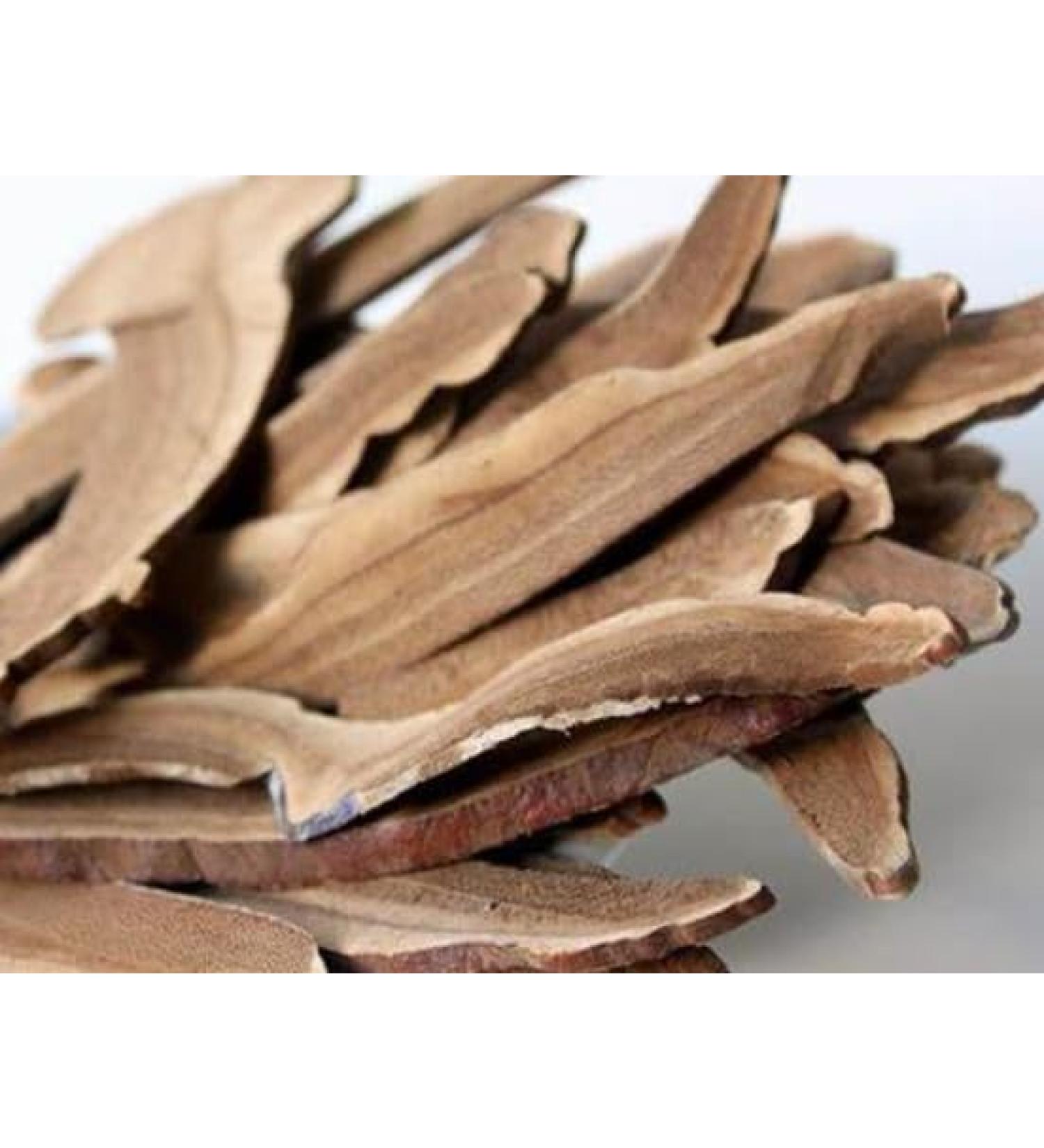 herbal tea reishi mushroom ganoderma lucidum ling zhi 100g