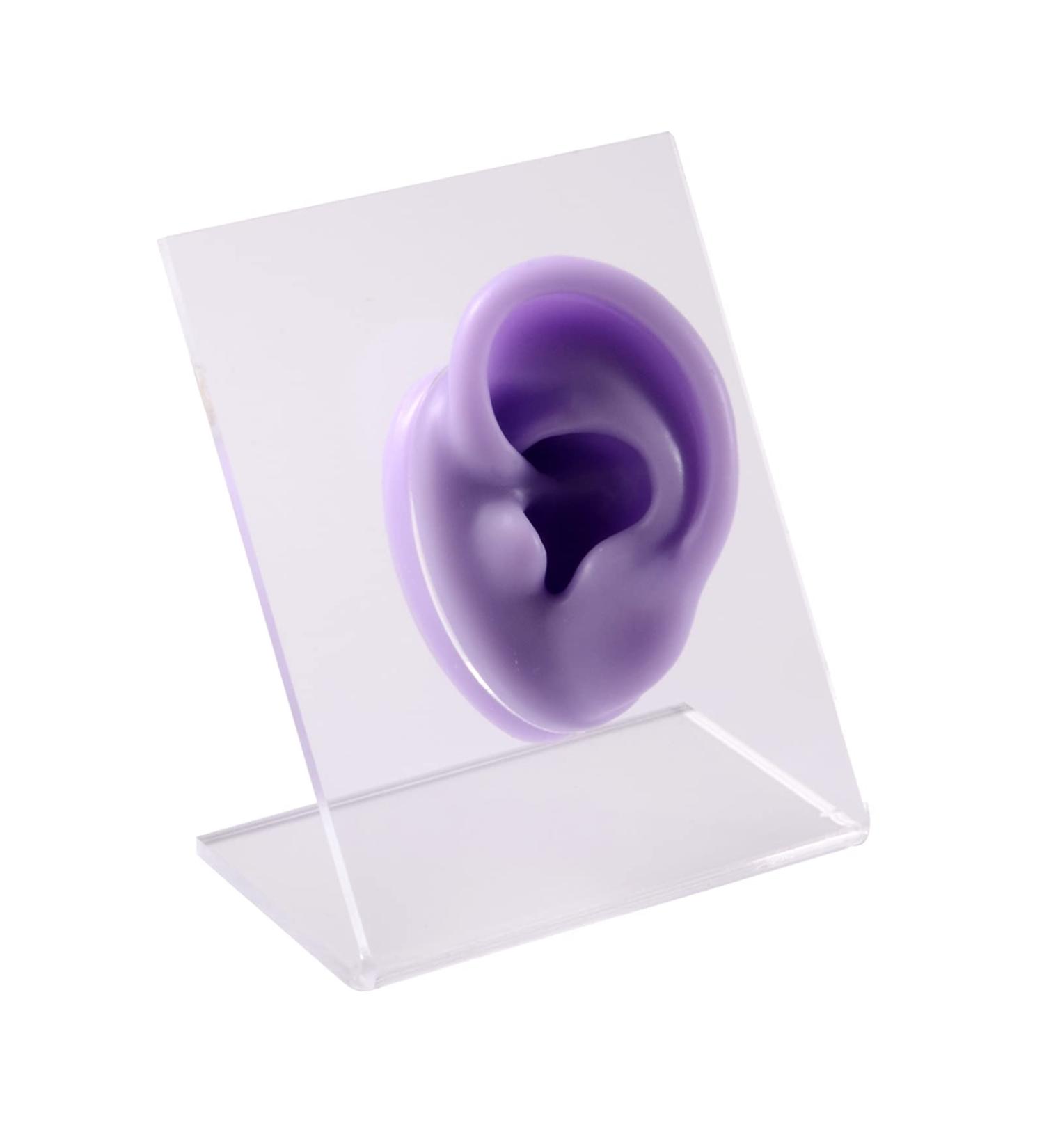CHUANCI Soft Silicone Ear Model for Jewelry Display - 1PC Purple Left Ear Simulation with Acrylic Display - Professional Teaching Tool - Buy Online on GoSupps.com