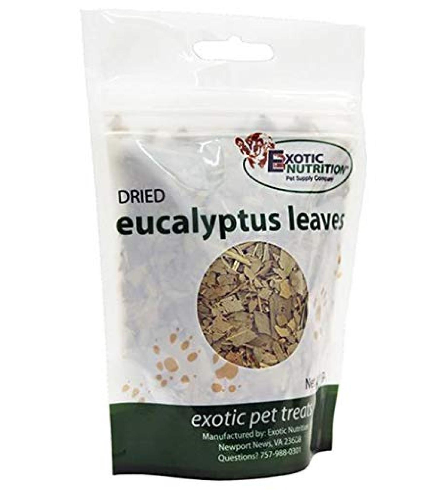 Eucalyptus Leaves (2 Pack) - Sugar Glider Treat