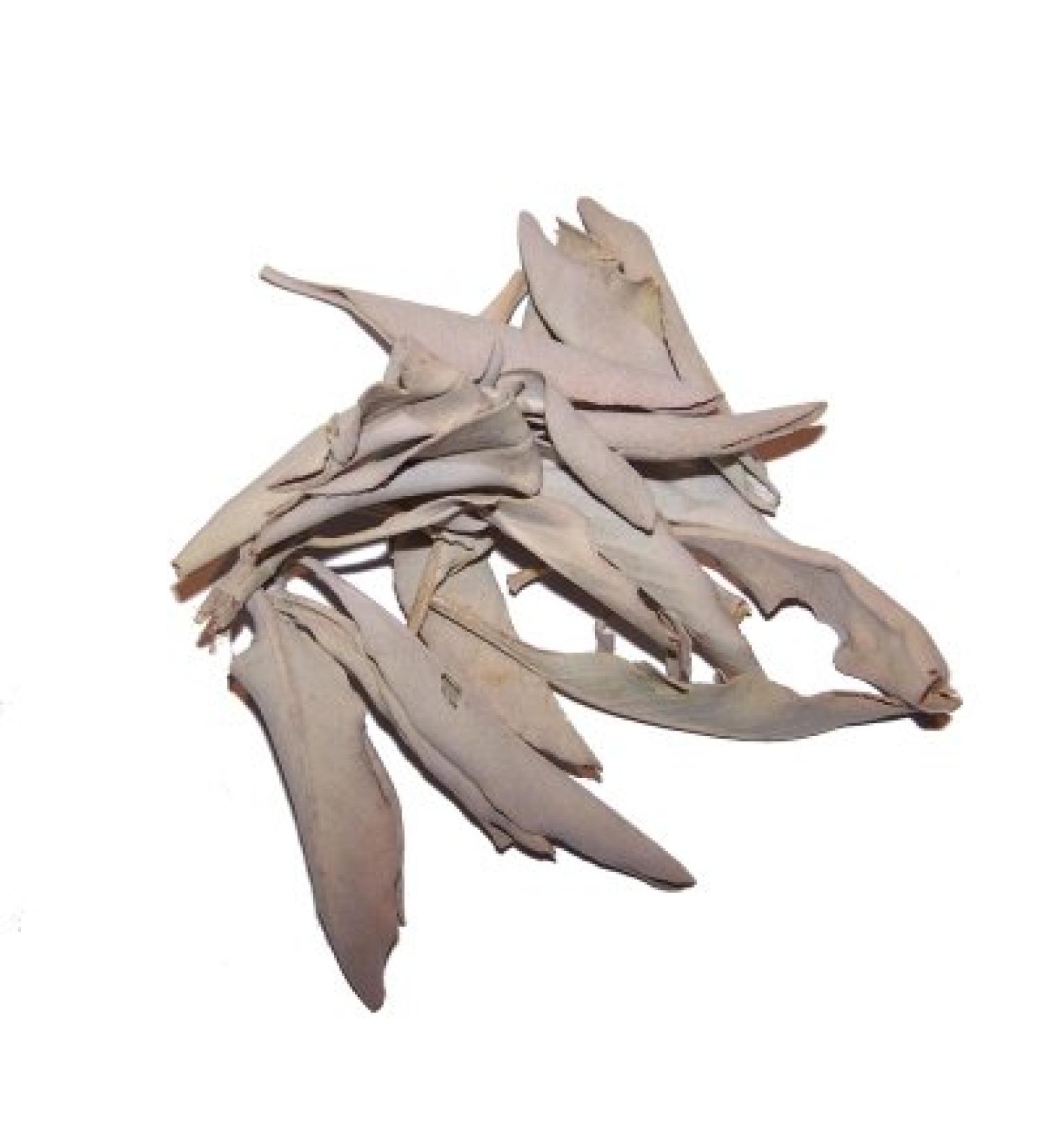 White Sage (Ceremonial), USDA Certified Organic, 2 Oz. Bag