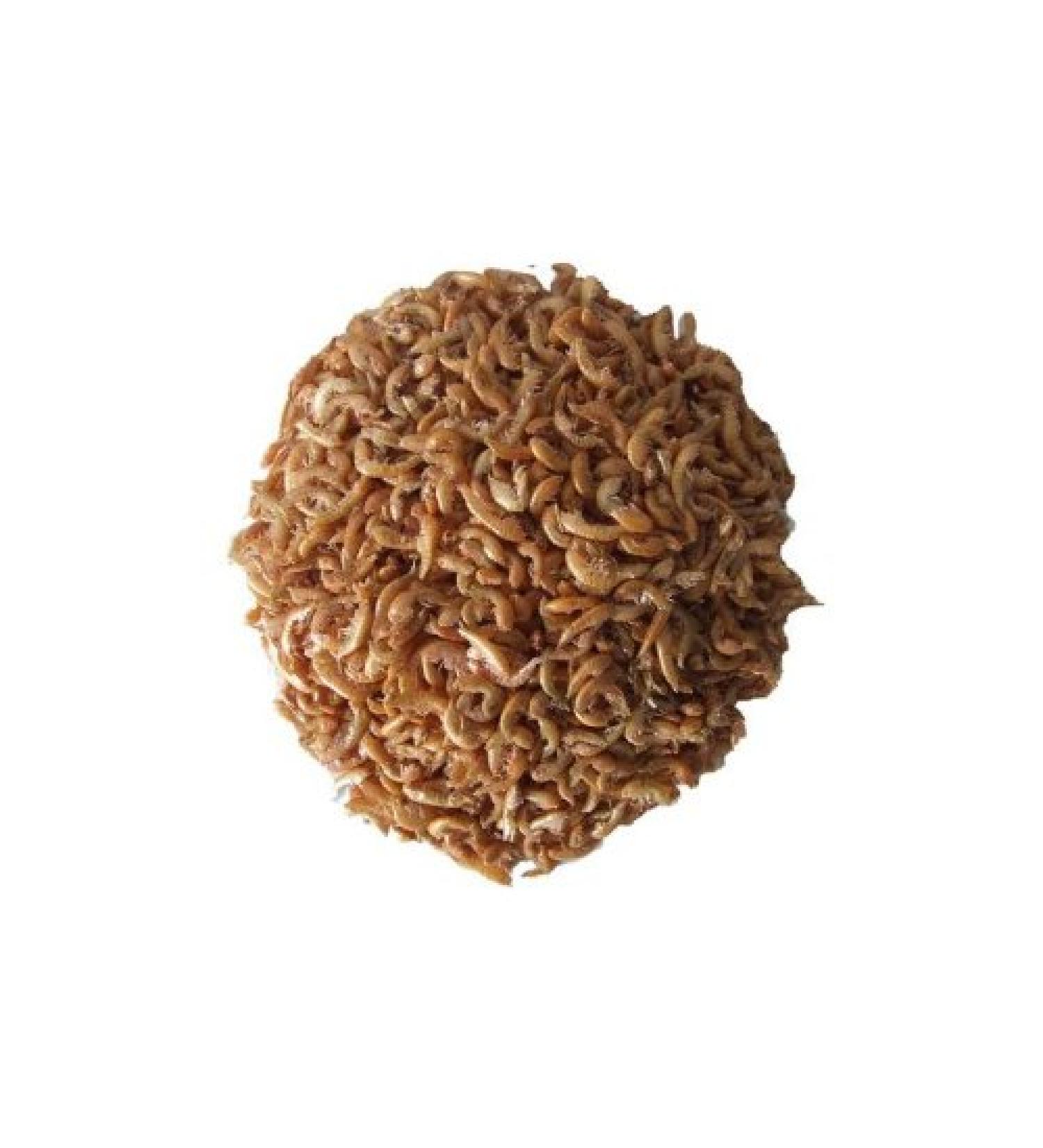 Gammares, 5000 ml