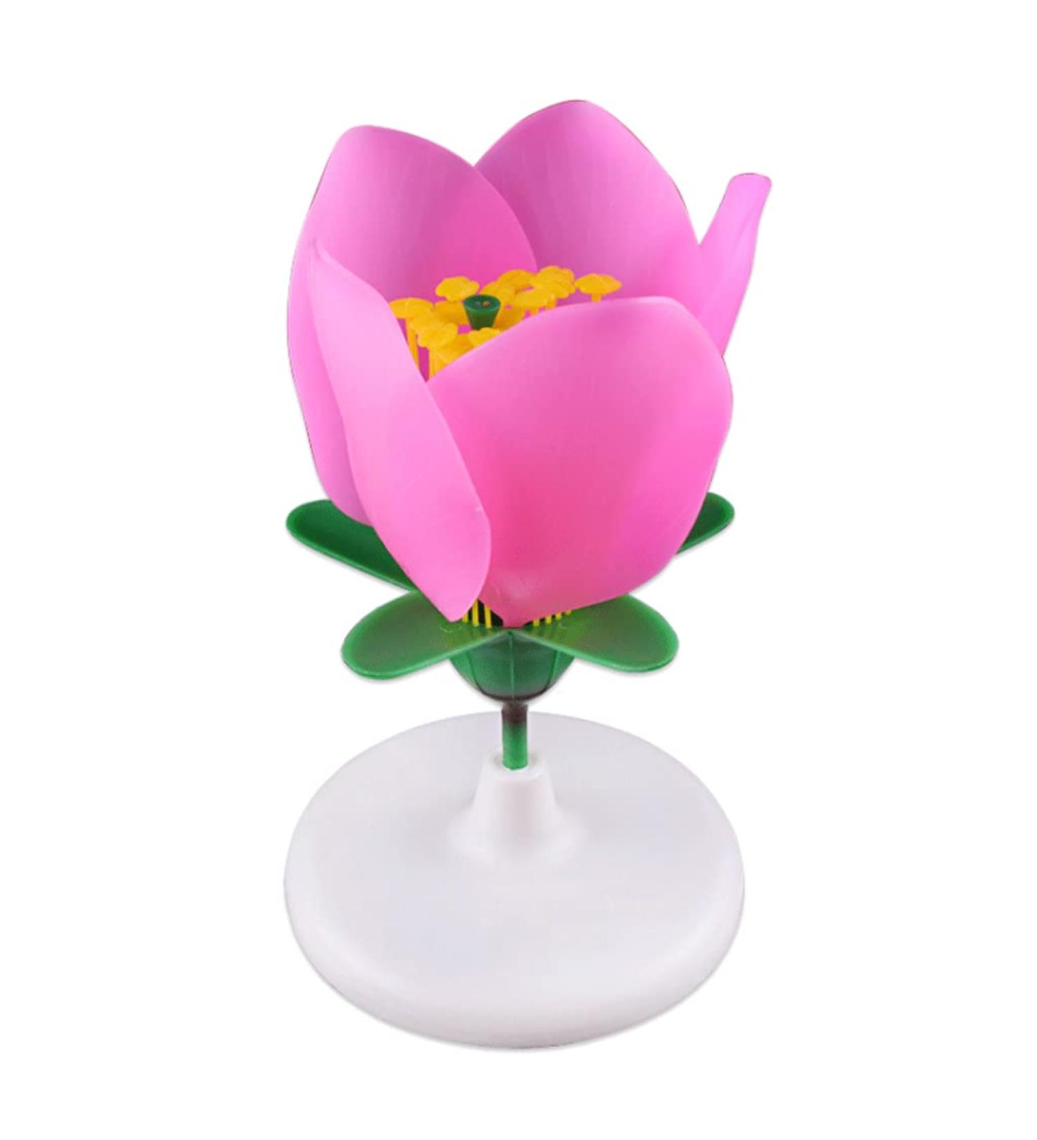 Portable Lifelike Plant Flower Anatomy Model with Display Base - Biology Teaching Aid - Buy Online on GoSupps.com