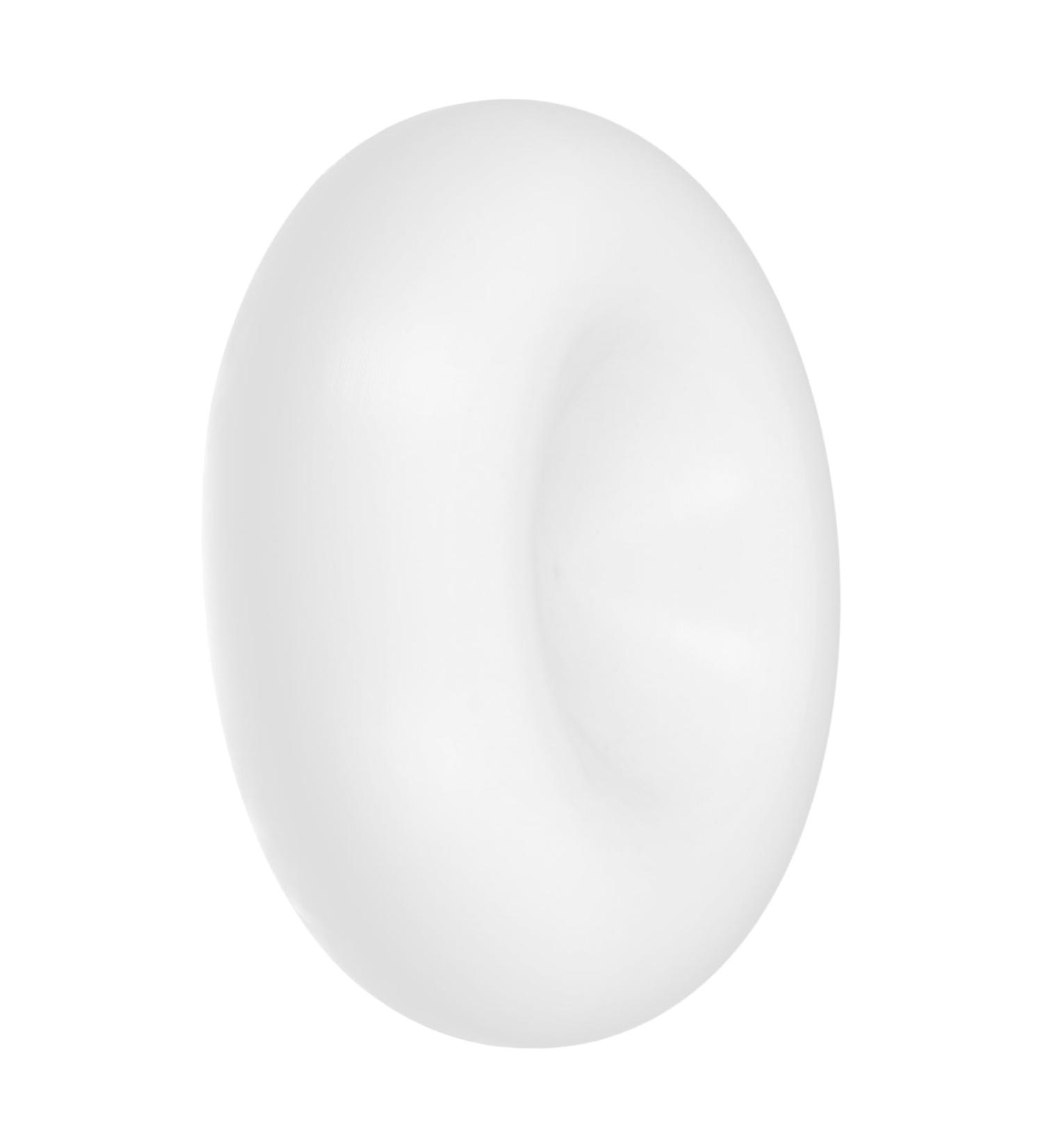 ABOOFAN Display Shelves Sashimi Display Stand Sashimi Setting Mould Table Decors Crafts Seafood Sushi Plate - Buy Online on GoSupps.com