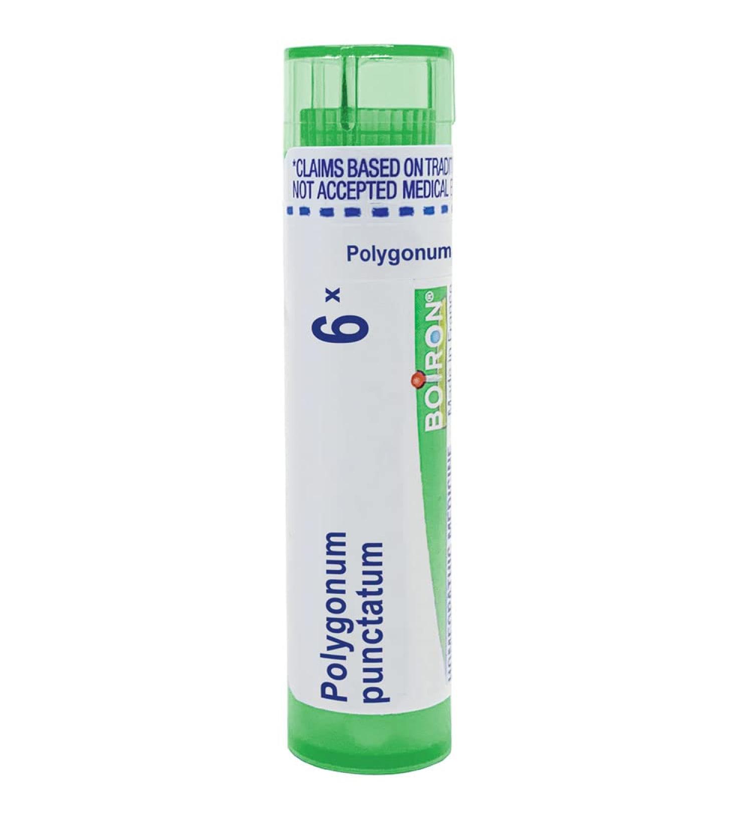 Buy Boiron Polygonum Punctatum 6X MD - 80 Pellets for Flatulence Diarrhea & Hemorrhoids | International Shipping Available - Buy Online on GoSupps.com