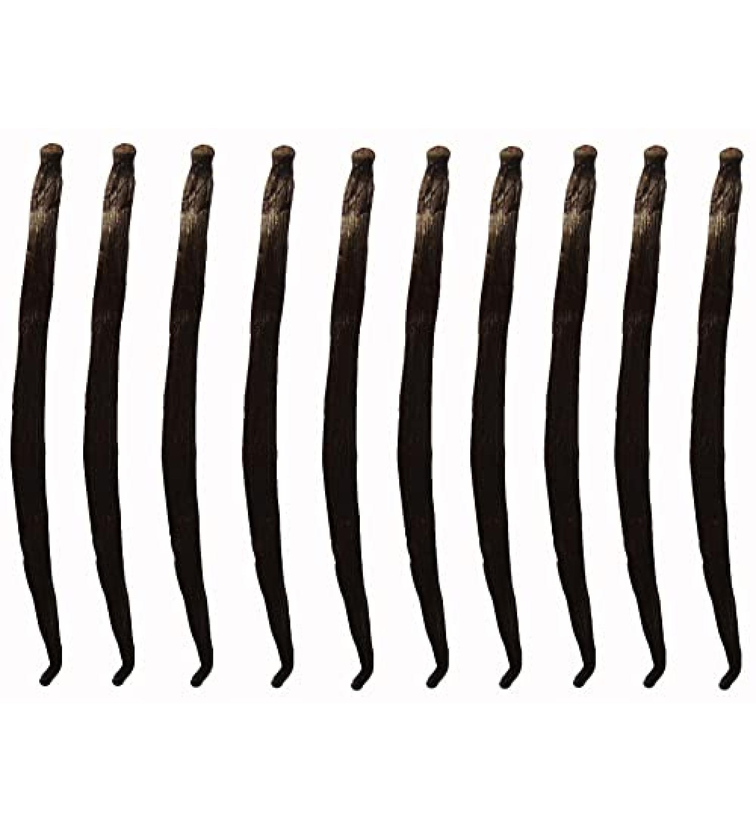 Fresh Vanilla Pods - 10 Gourmet Vanilla Pods 10 to 14 cm tahitensis - Buy Online on GoSupps.com