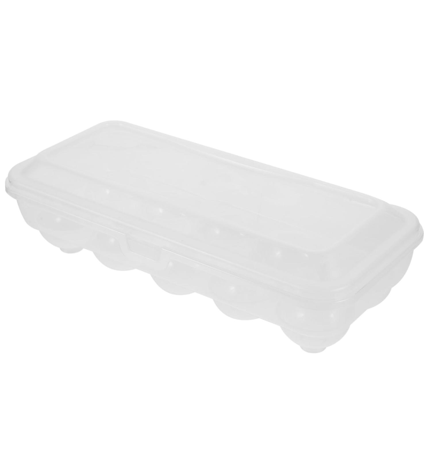 PRETYZOOM Egg Rack Eggs Fridge Refrigerator Egg Tray Kitchen Organizers and Storage Camping Organize Artifacts - Buy Online on GoSupps.com